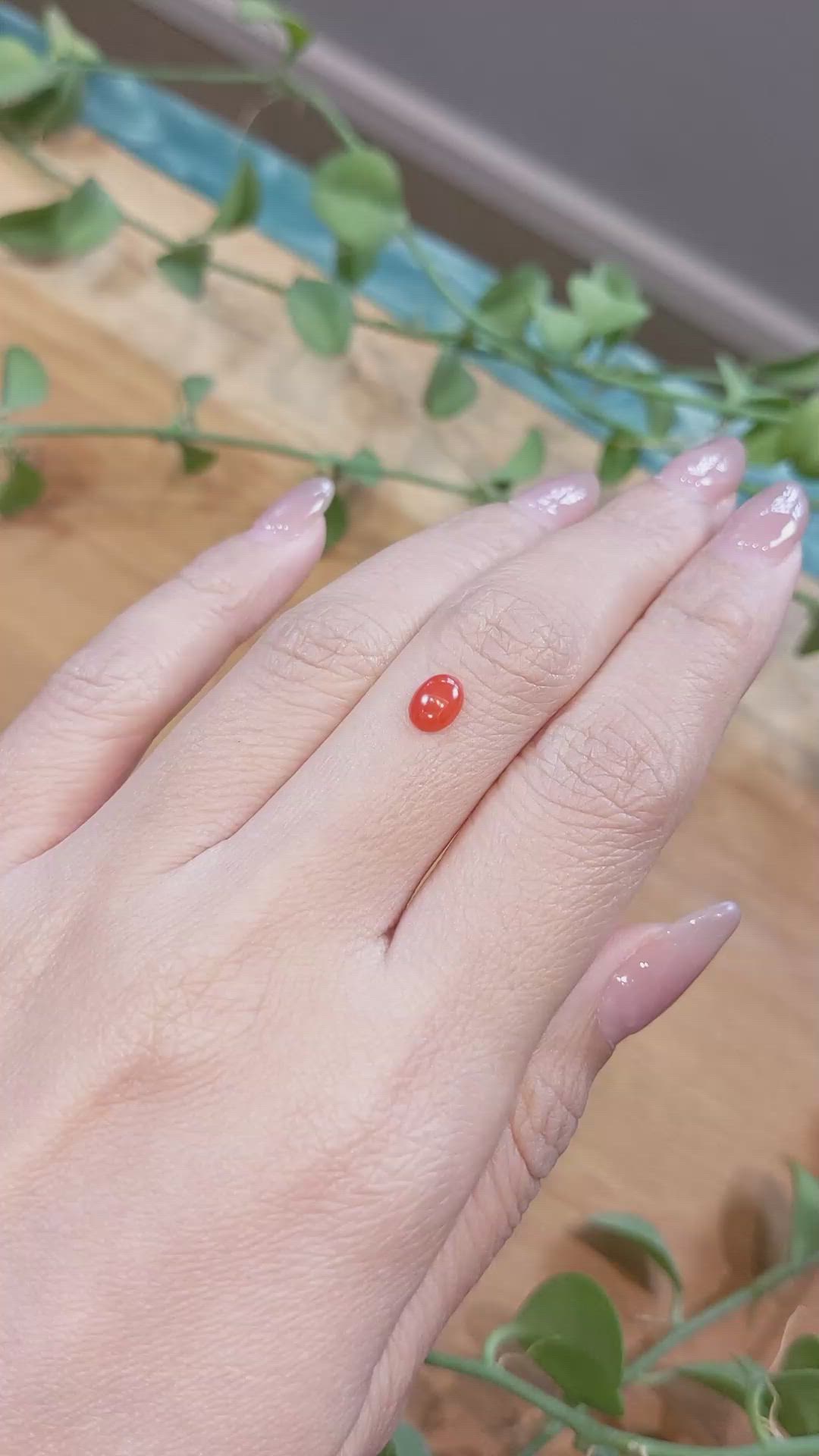 0.49 Ct. Orangish Red Cabochon Coral from Italy Size Video