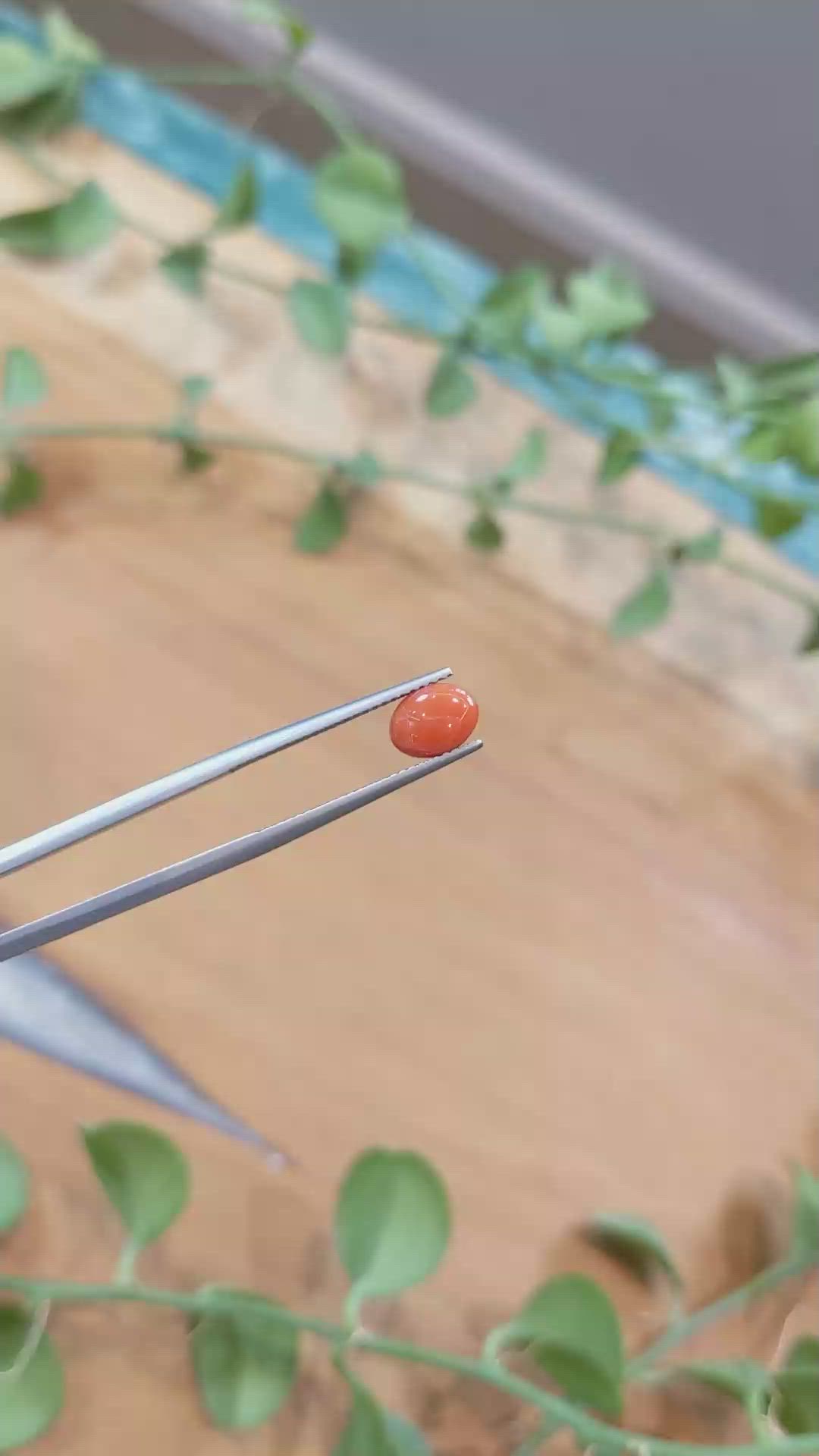 0.78 Ct. Orange Cabochon Coral from Italy Size Video