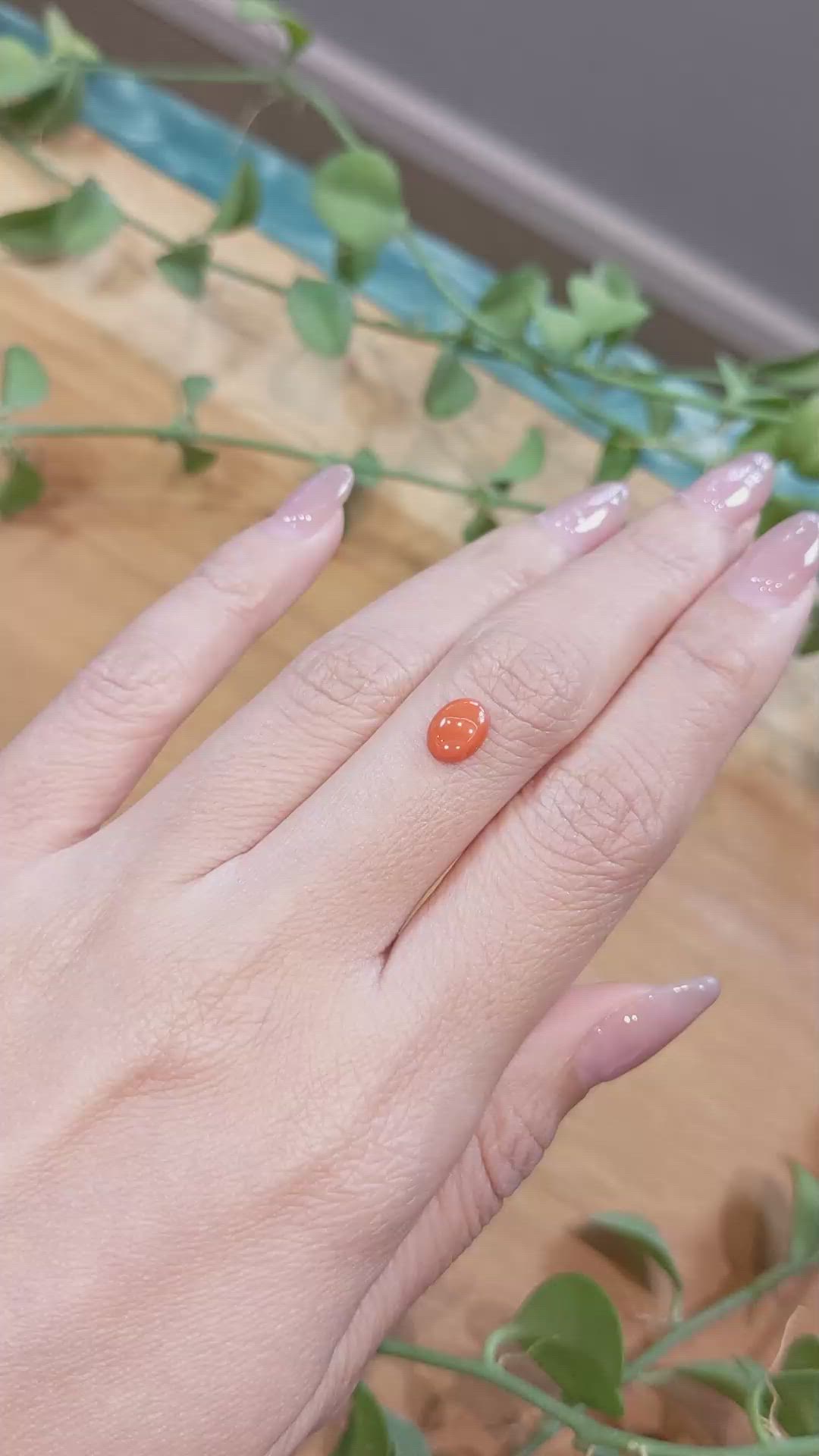 0.78 Ct. Orange Cabochon Coral from Italy Size Video