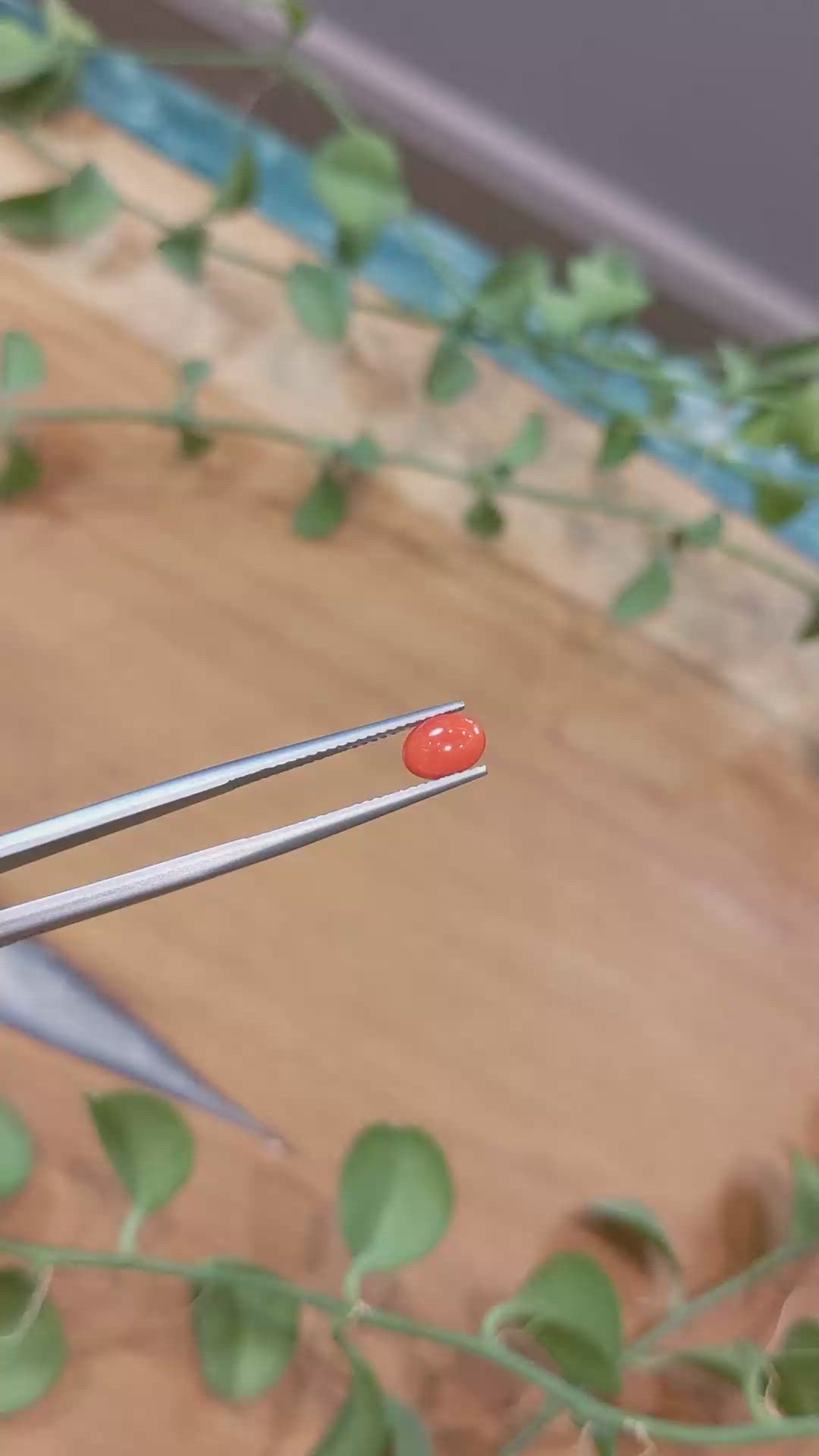 0.66 Ct. Orangish Red Cabochon Coral from Italy Size Video