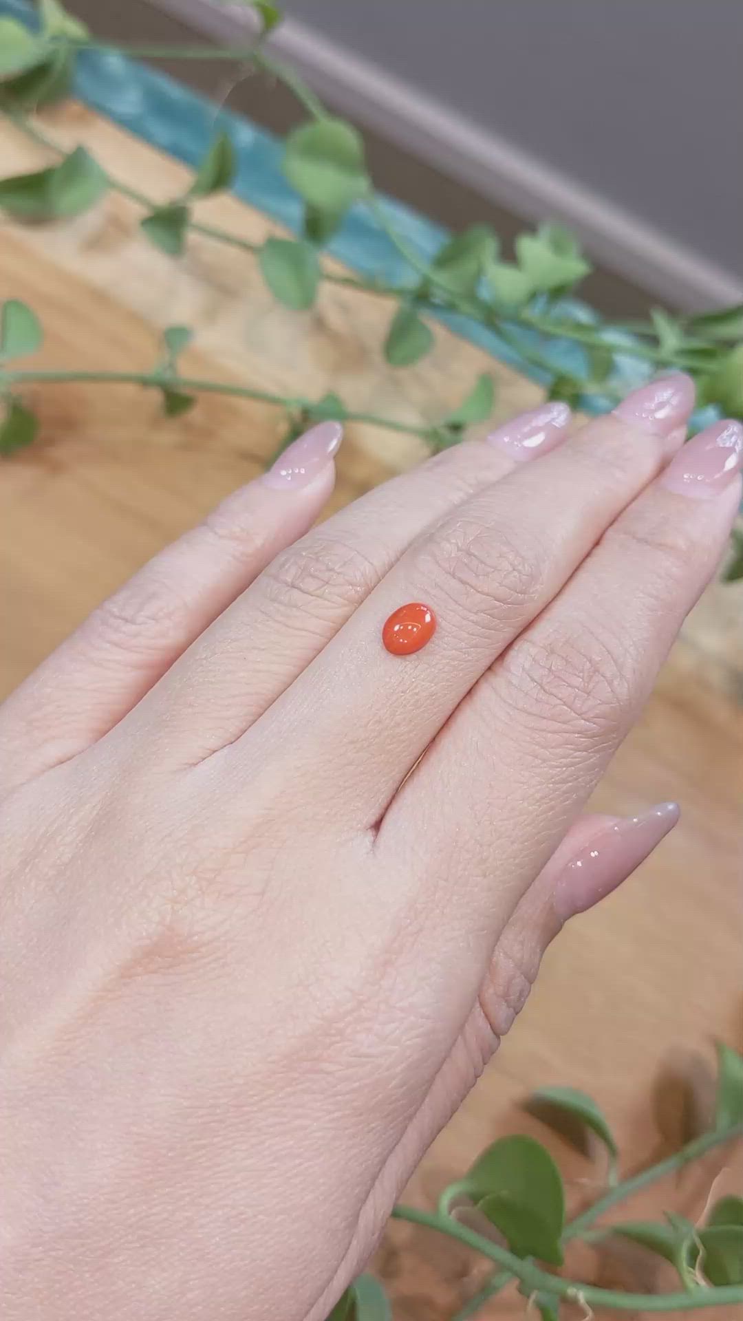 0.66 Ct. Orangish Red Cabochon Coral from Italy Size Video