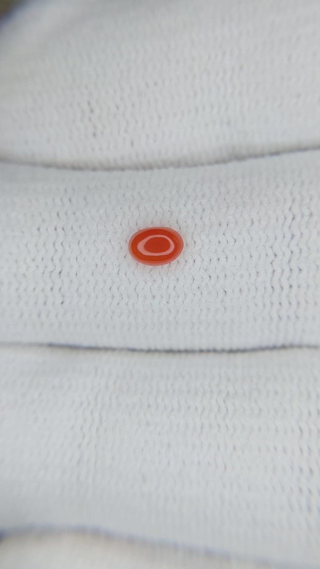 0.18 Ct. Orangish Red Cabochon Coral from Italy Size Video