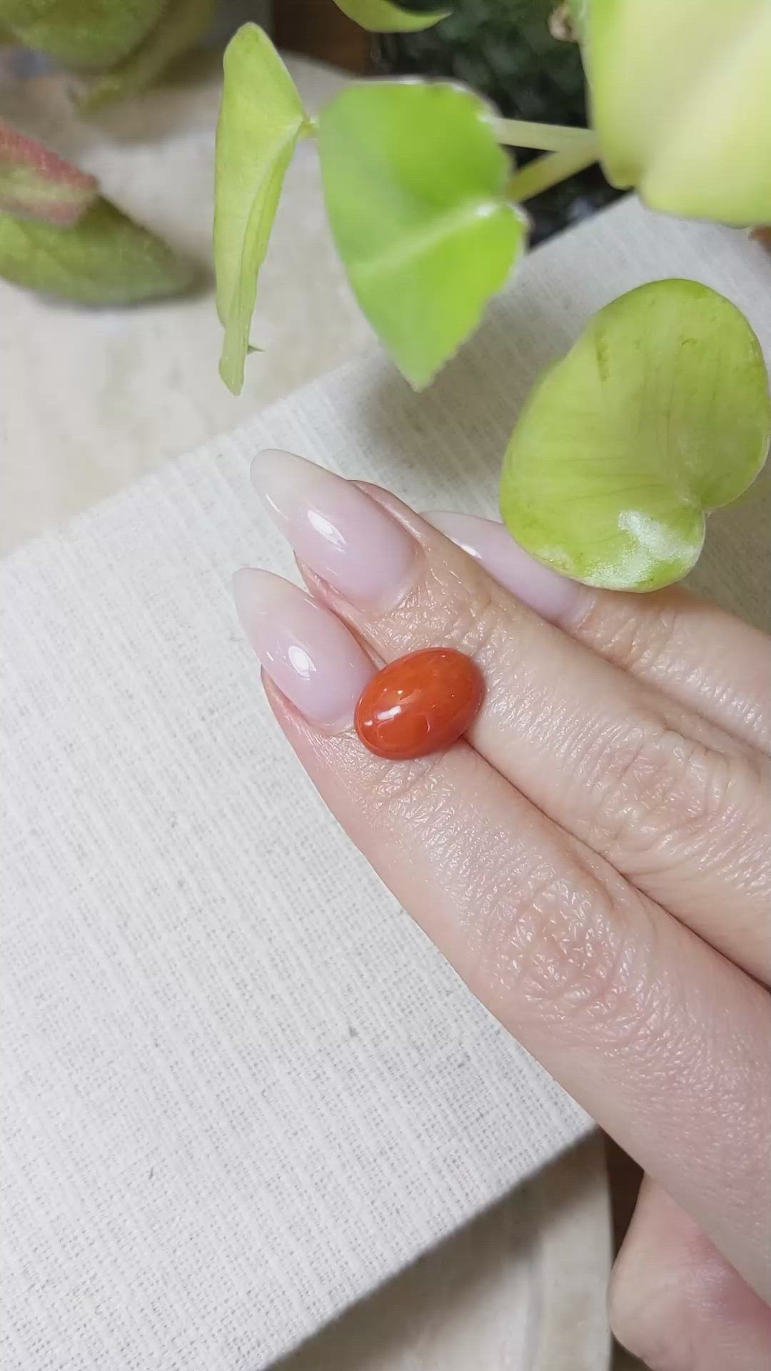 4.27 Ct. Orange Cabochon Coral from Italy Size Video