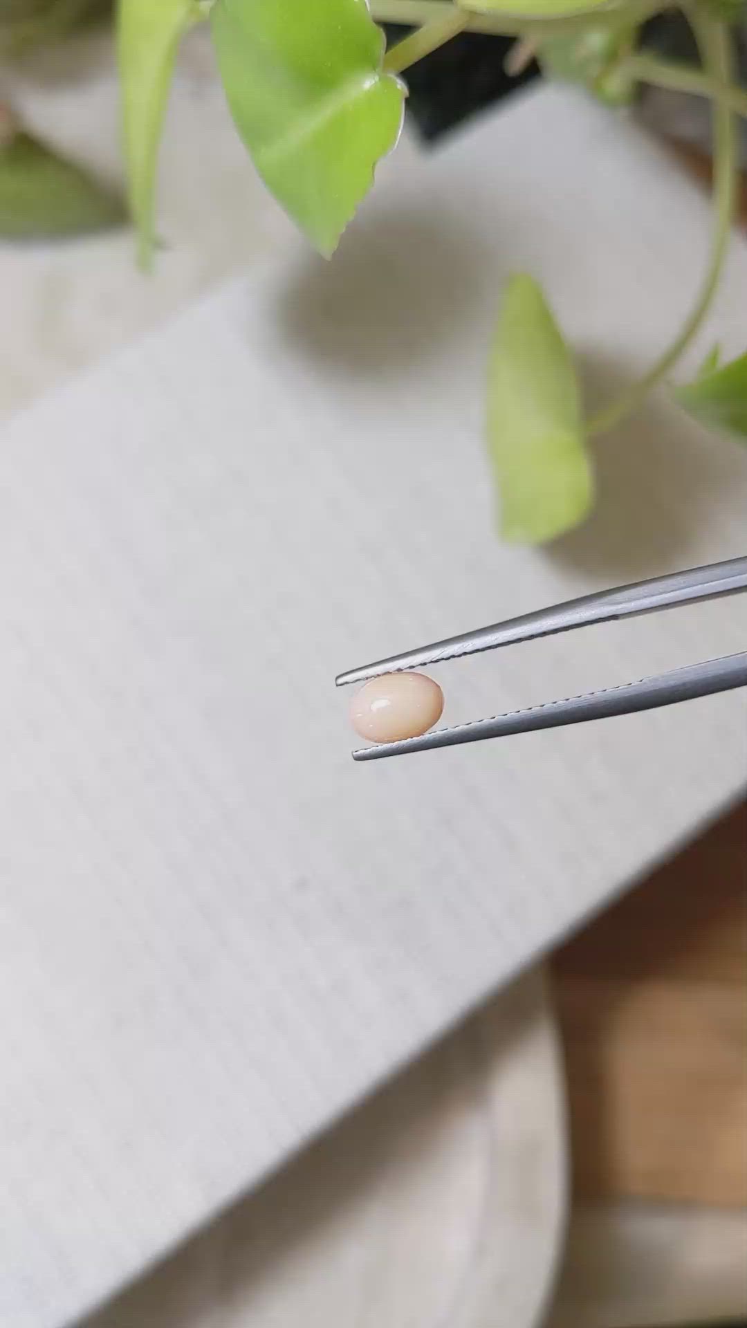 0.73 Ct. Orange Cabochon Coral from Italy Size Video