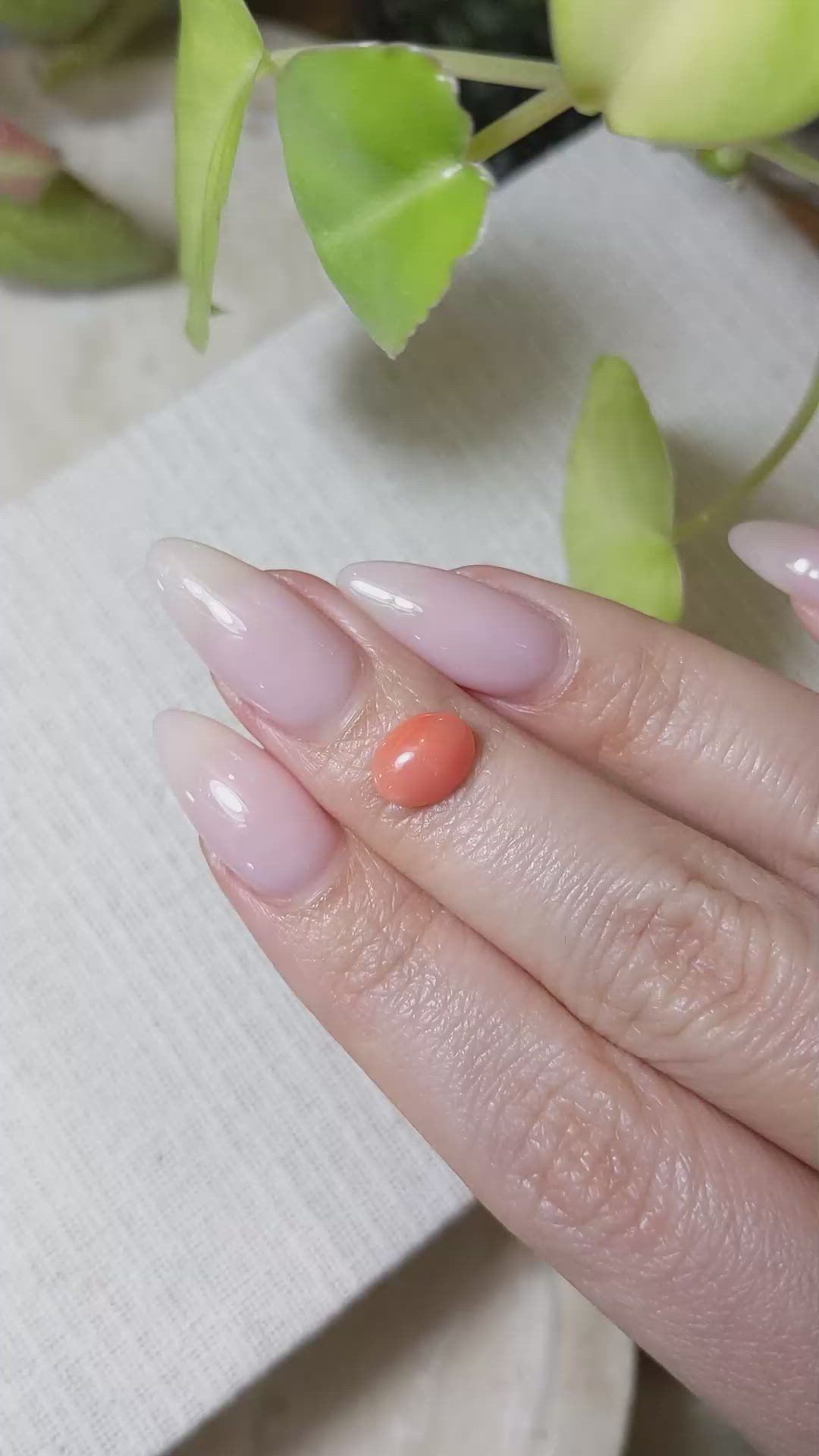 1.43 Ct. Orange Cabochon Coral from Italy Size Video