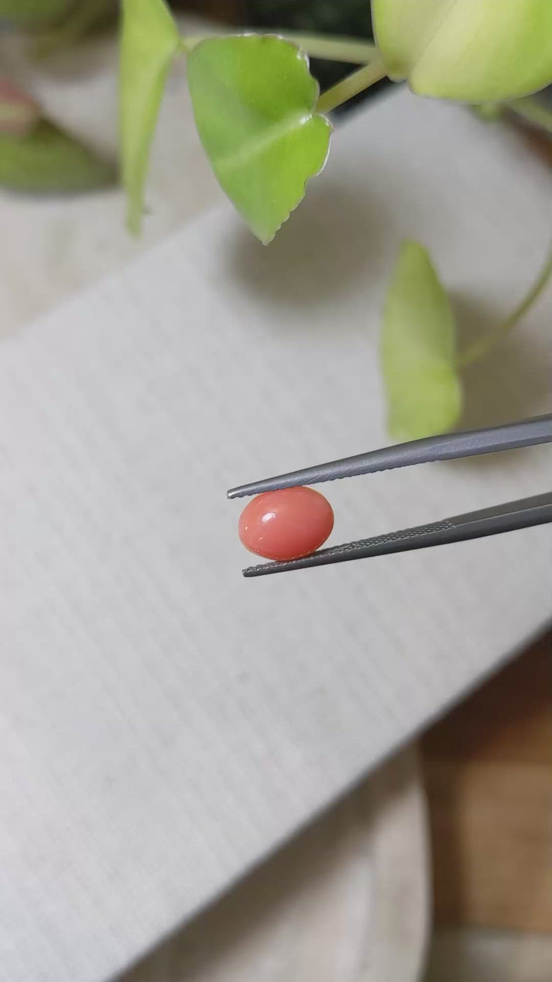 1.43 Ct. Orange Cabochon Coral from Italy Size Video