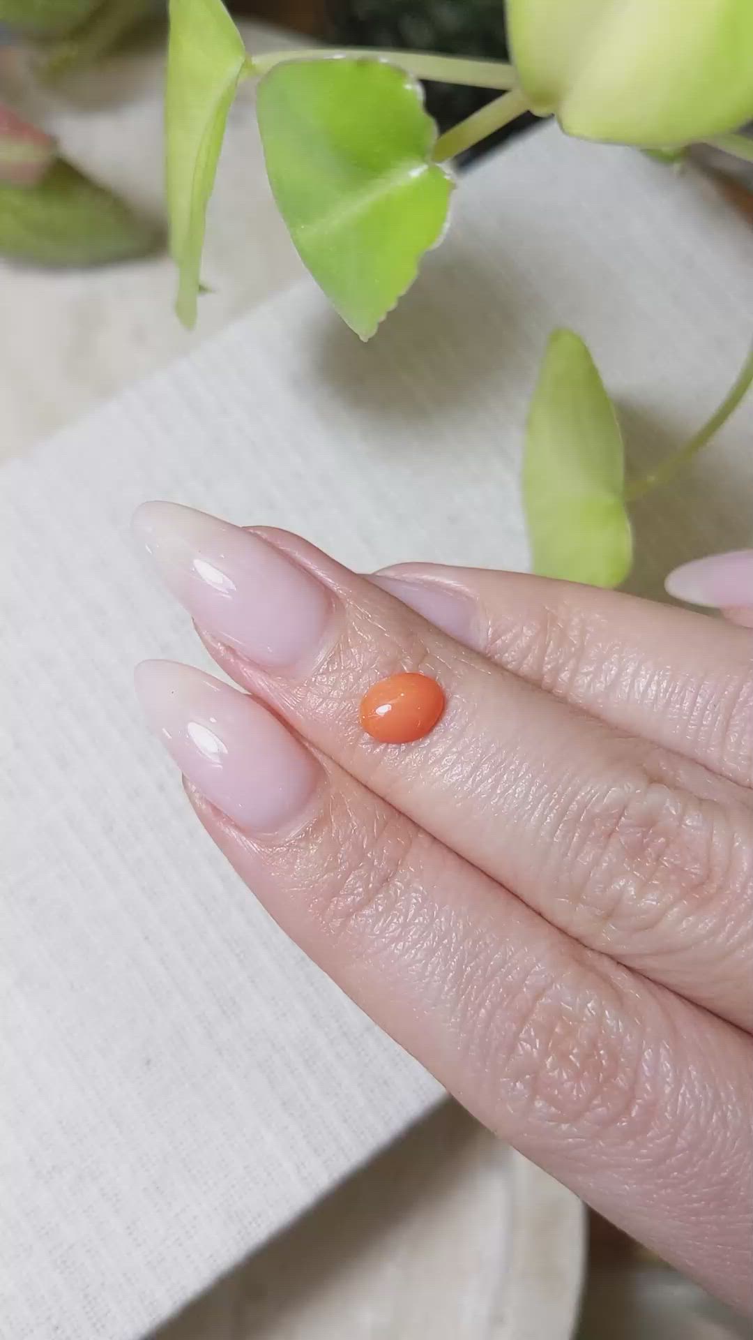 0.61 Ct. Orange Cabochon Coral from Italy Size Video