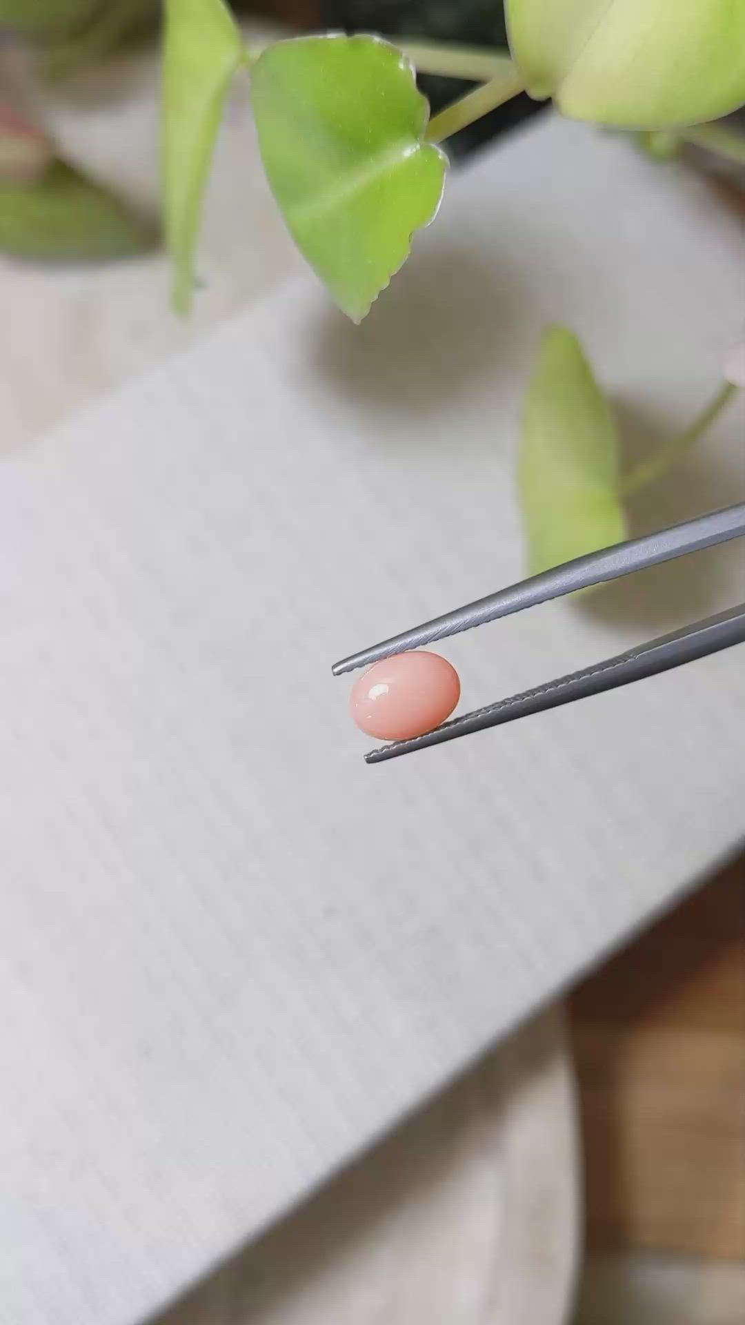 1.04 Ct. Orange Cabochon Coral from Italy Size Video