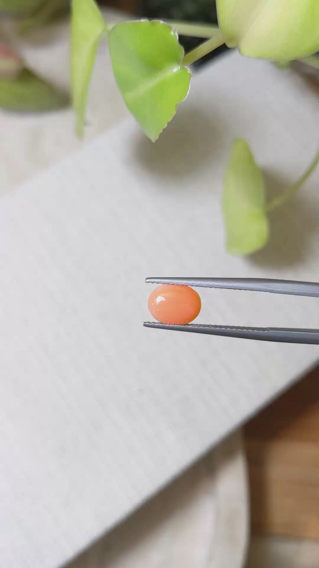 1.06 Ct. Orange Cabochon Coral from Italy Size Video