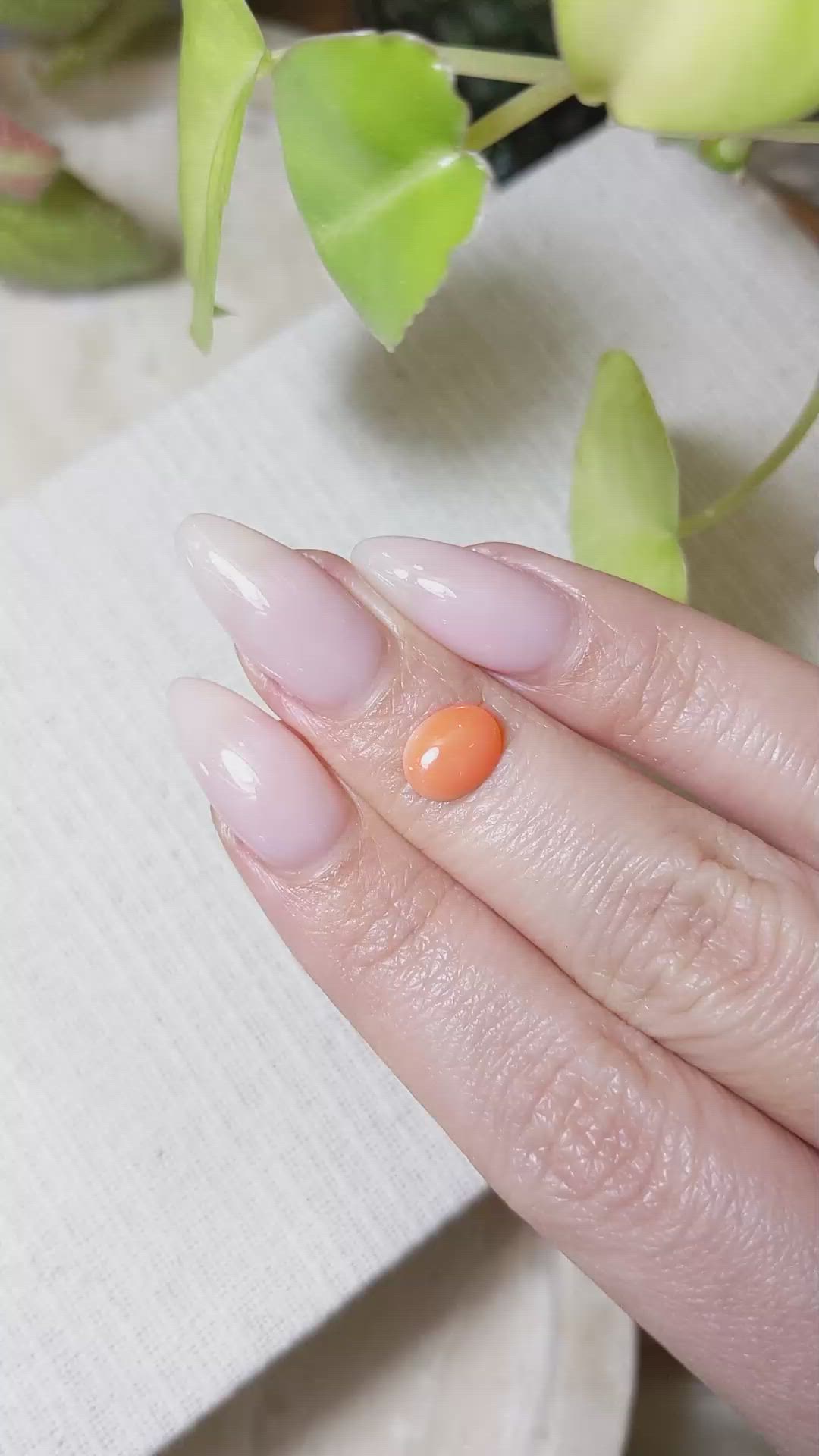 1.06 Ct. Orange Cabochon Coral from Italy Size Video