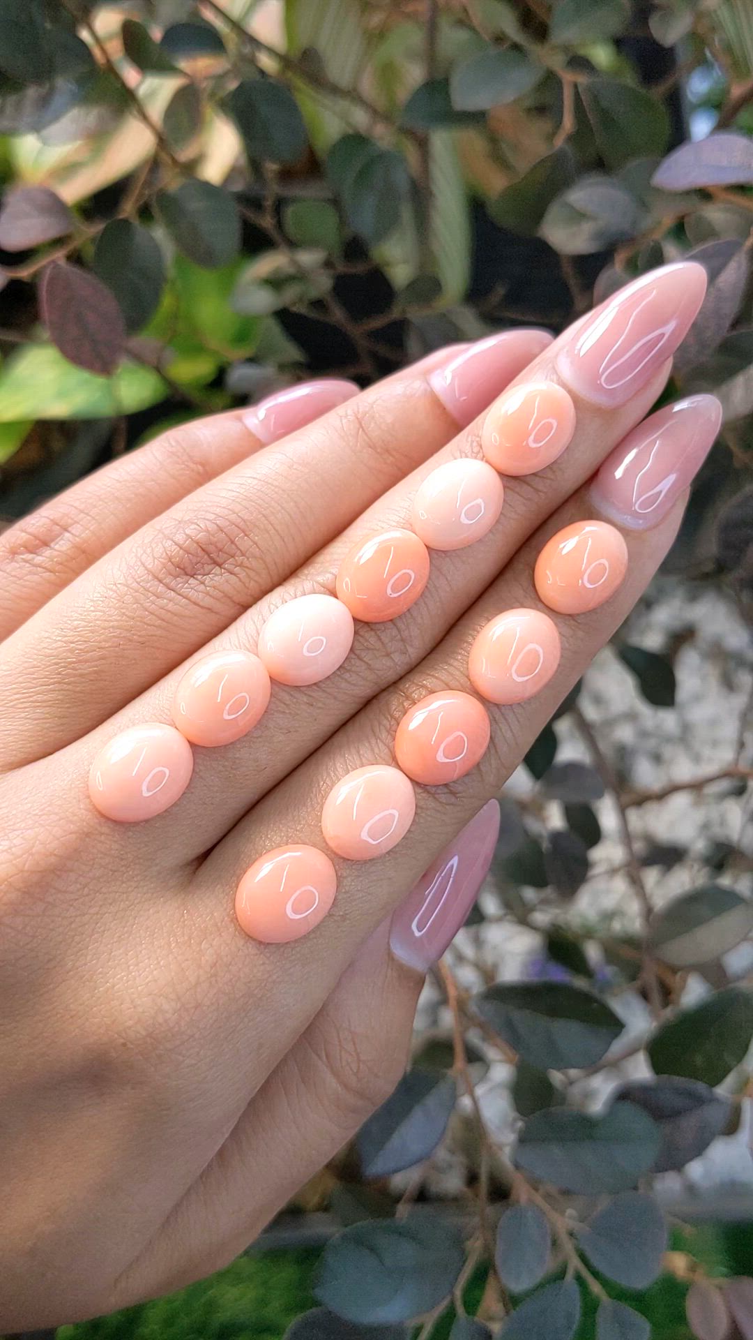 36.04 Ct. Cabochon Coral from Italy Size Video