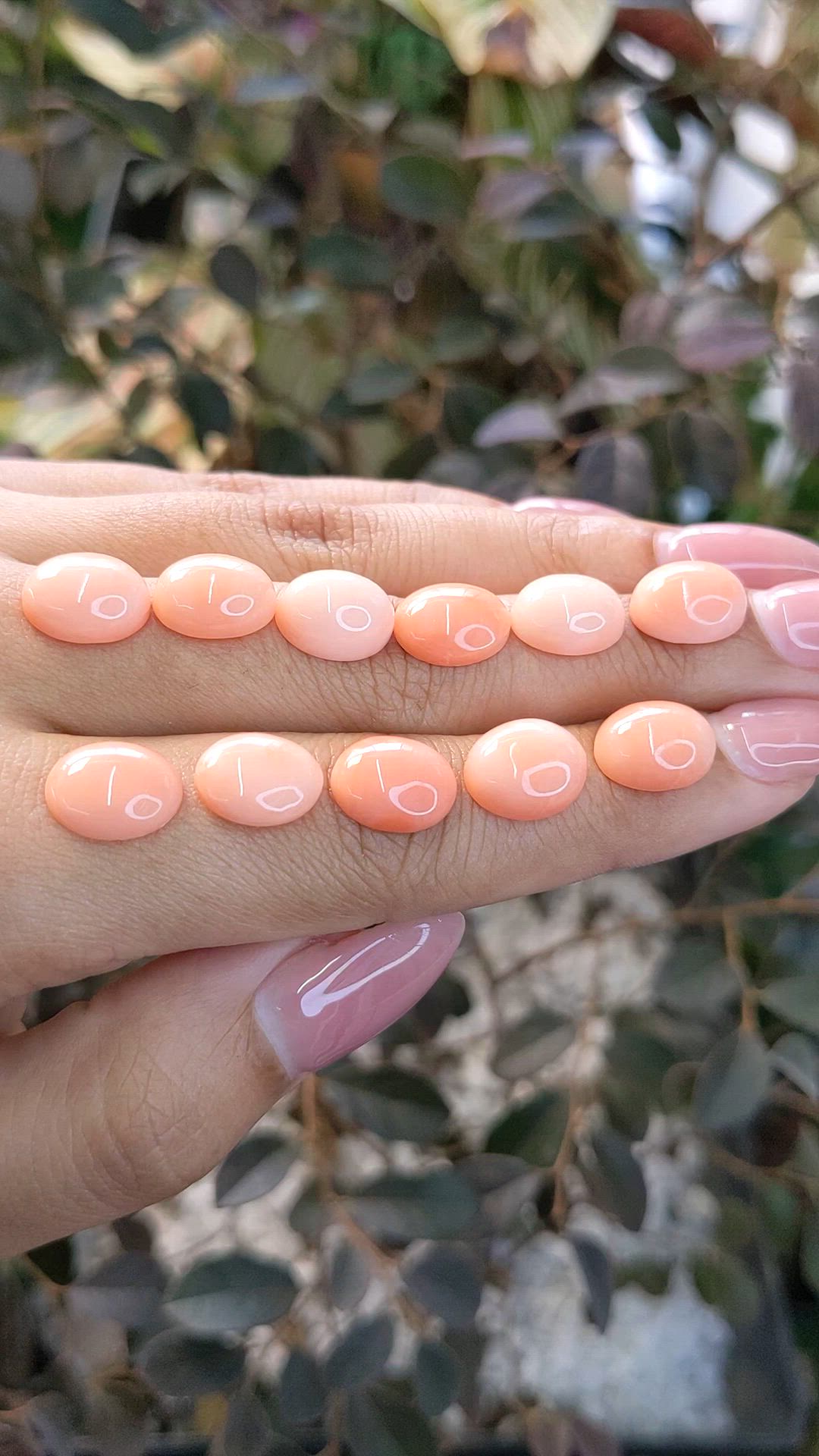 36.04 Ct. Cabochon Coral from Italy Size Video