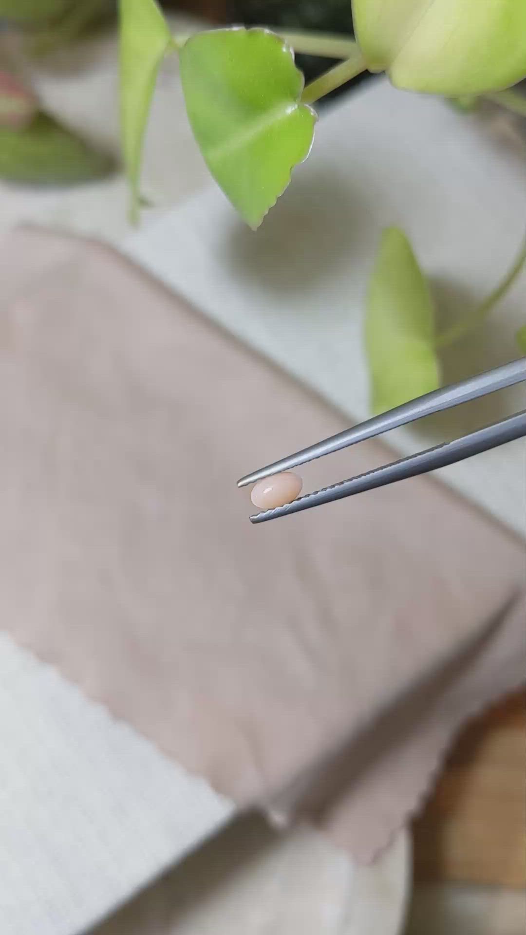 0.22 Ct. Orange Cabochon Coral from Italy Size Video