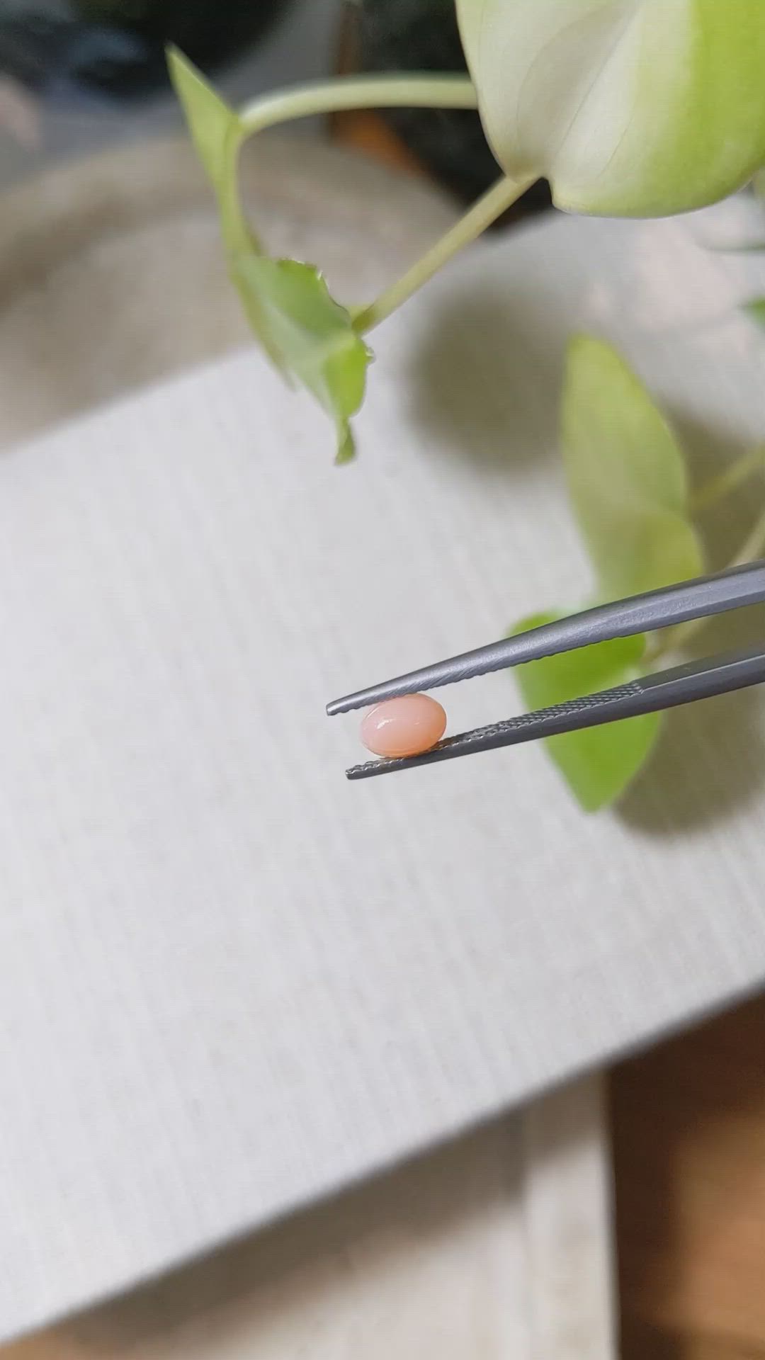 0.56 Ct. Cabochon Coral from Italy Size Video