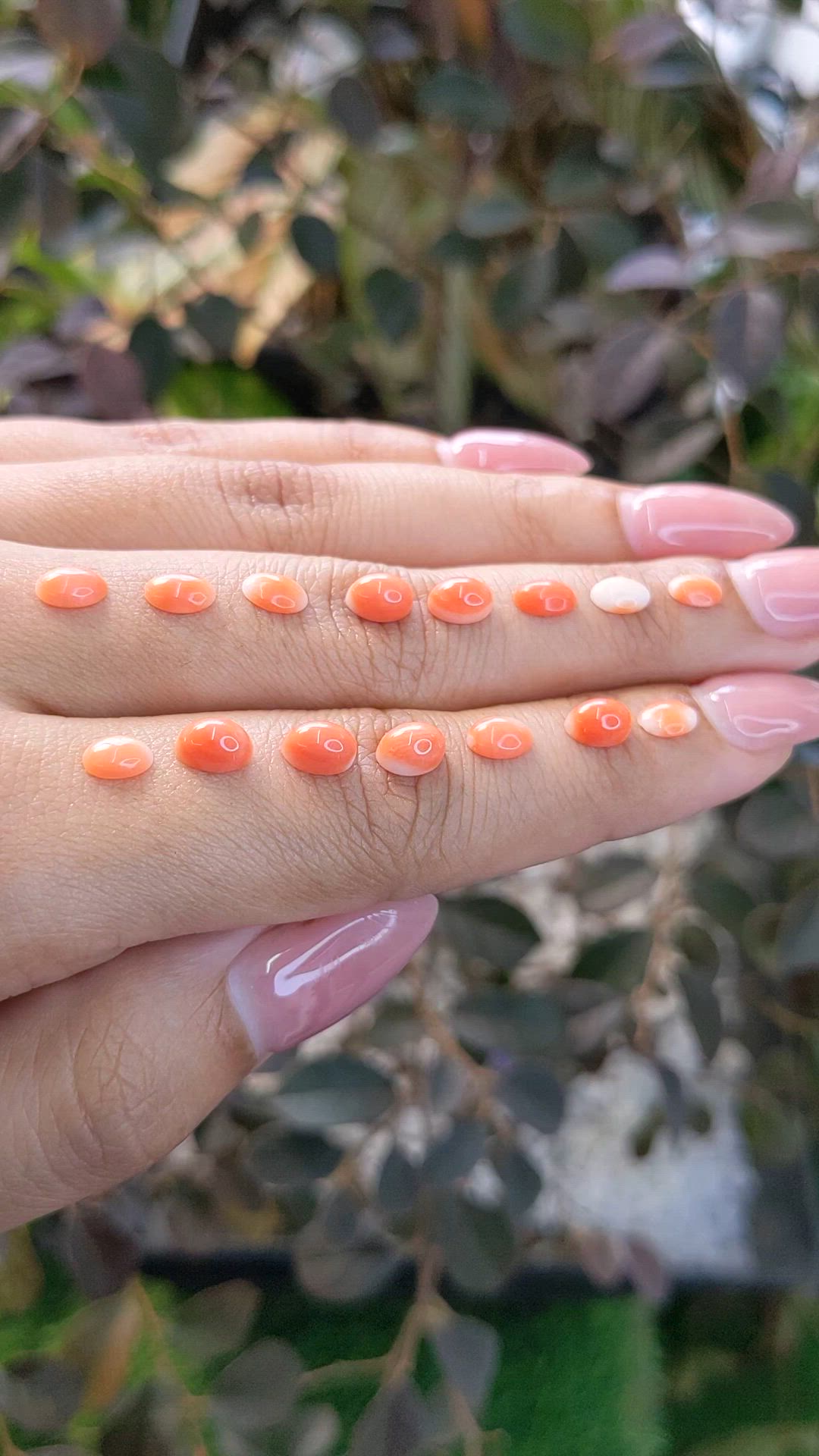 6.56 Ct. Cabochon Coral from Italy Size Video