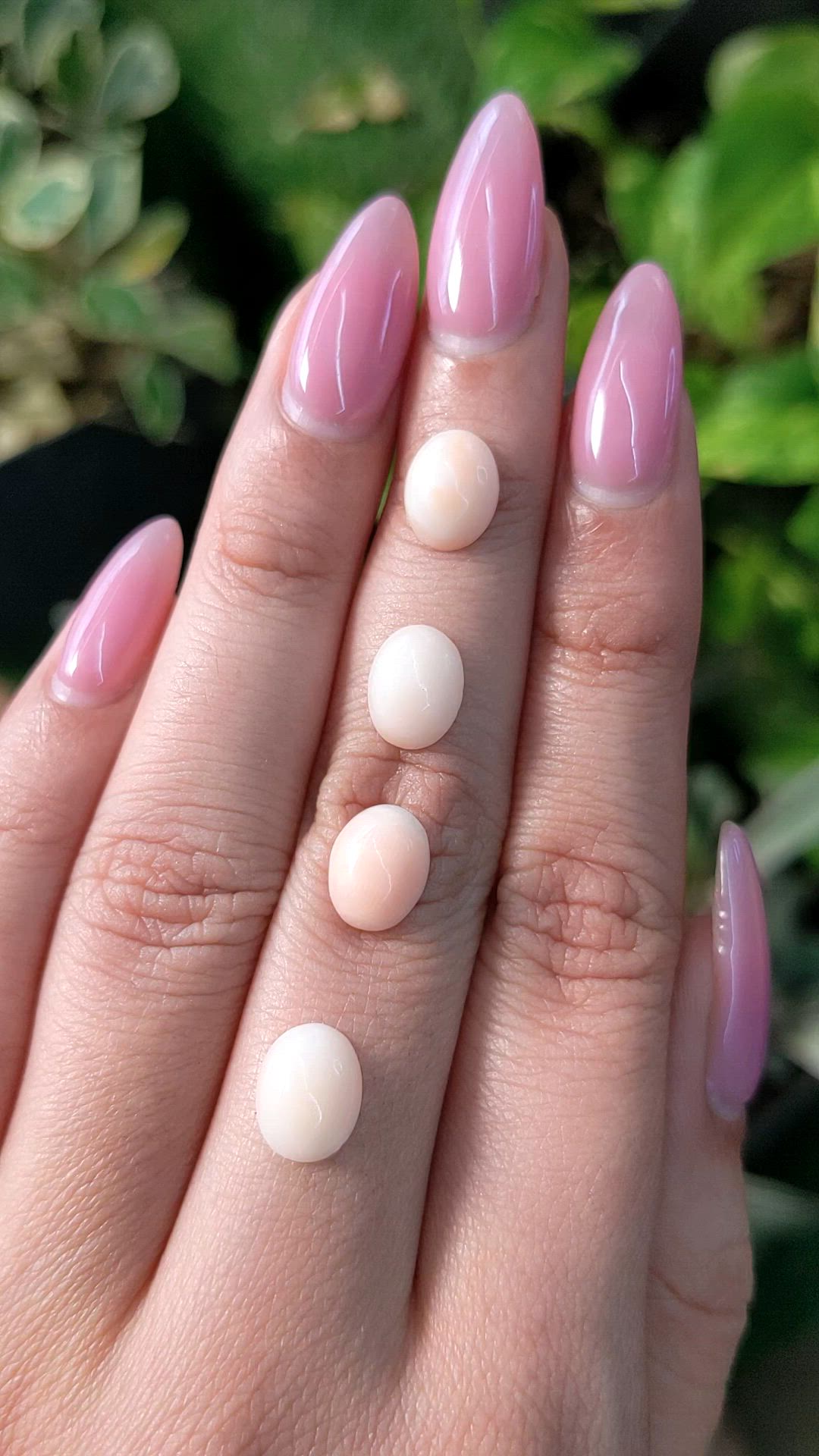 25.22 Ct. Cabochon Coral from Italy Size Video