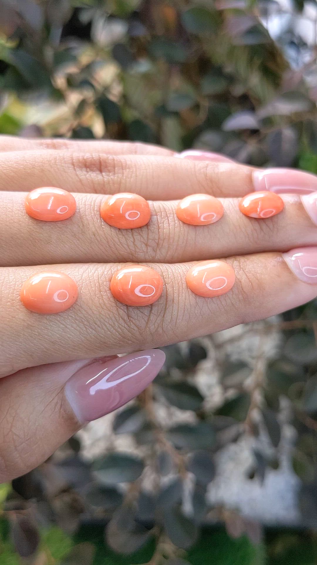 13.76 Ct. Cabochon Coral from Italy Size Video