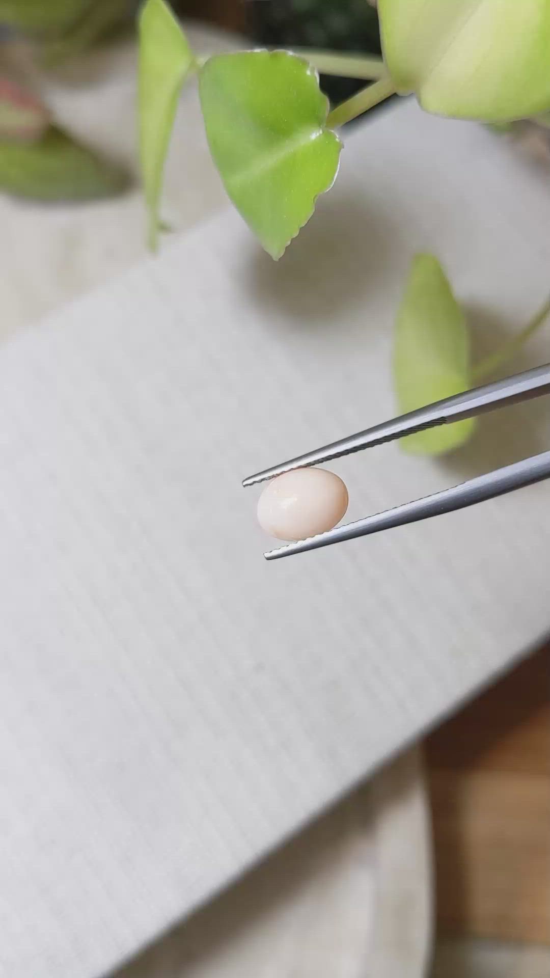 1.53 Ct. Salmon and White Cabochon Coral from Italy Size Video