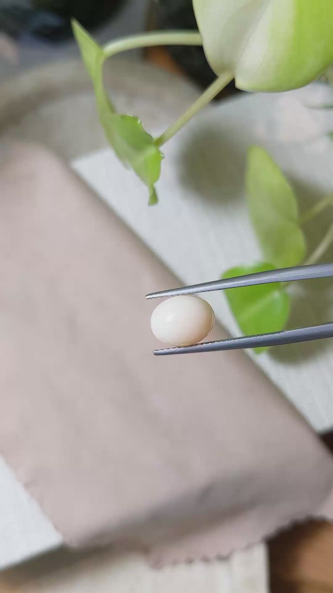 2.68 Ct. Cabochon Coral from Italy Size Video