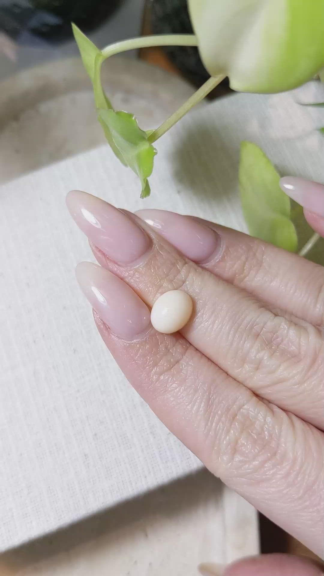 2.68 Ct. Cabochon Coral from Italy Size Video