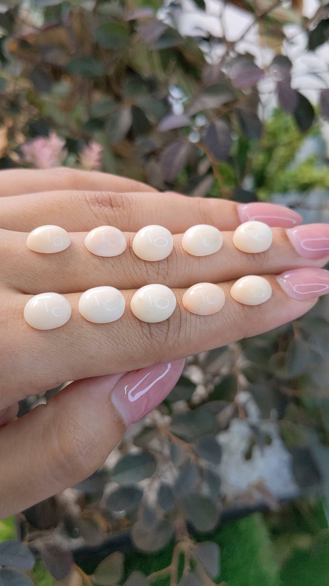 30.57 Ct. Cabochon Coral from Italy Size Video