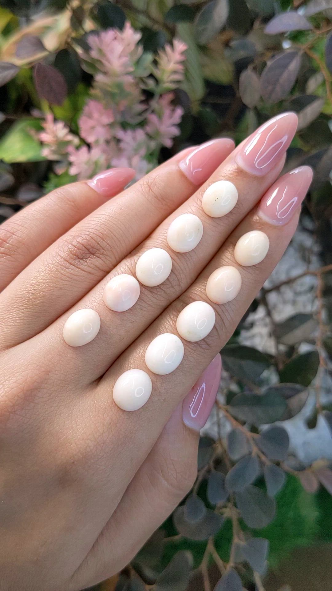 30.57 Ct. Cabochon Coral from Italy Size Video