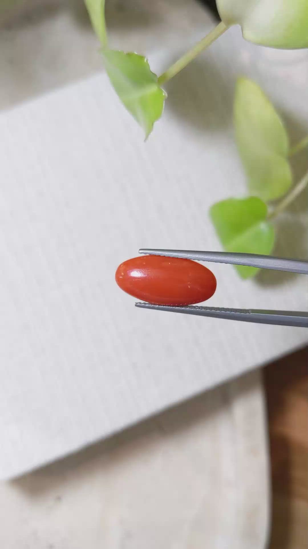 4.02 Ct. Cabochon Coral from Italy Size Video