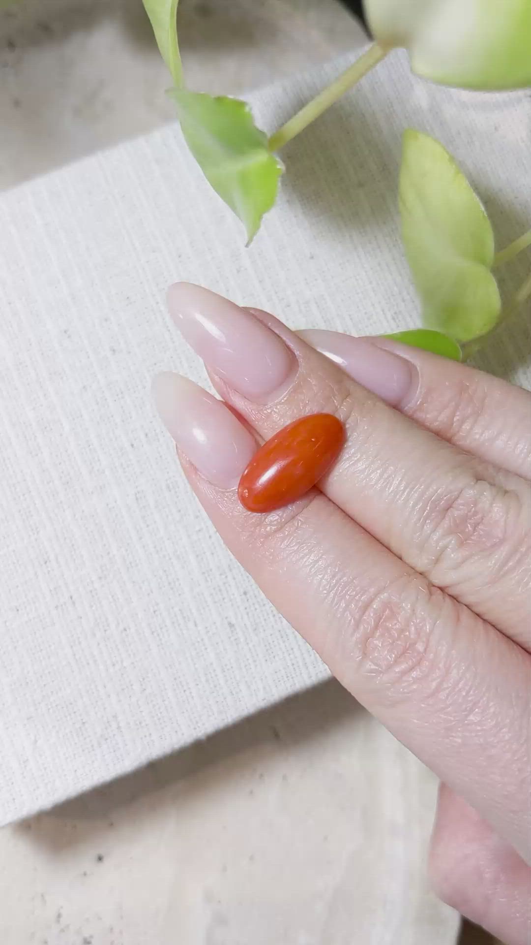4.02 Ct. Cabochon Coral from Italy Size Video
