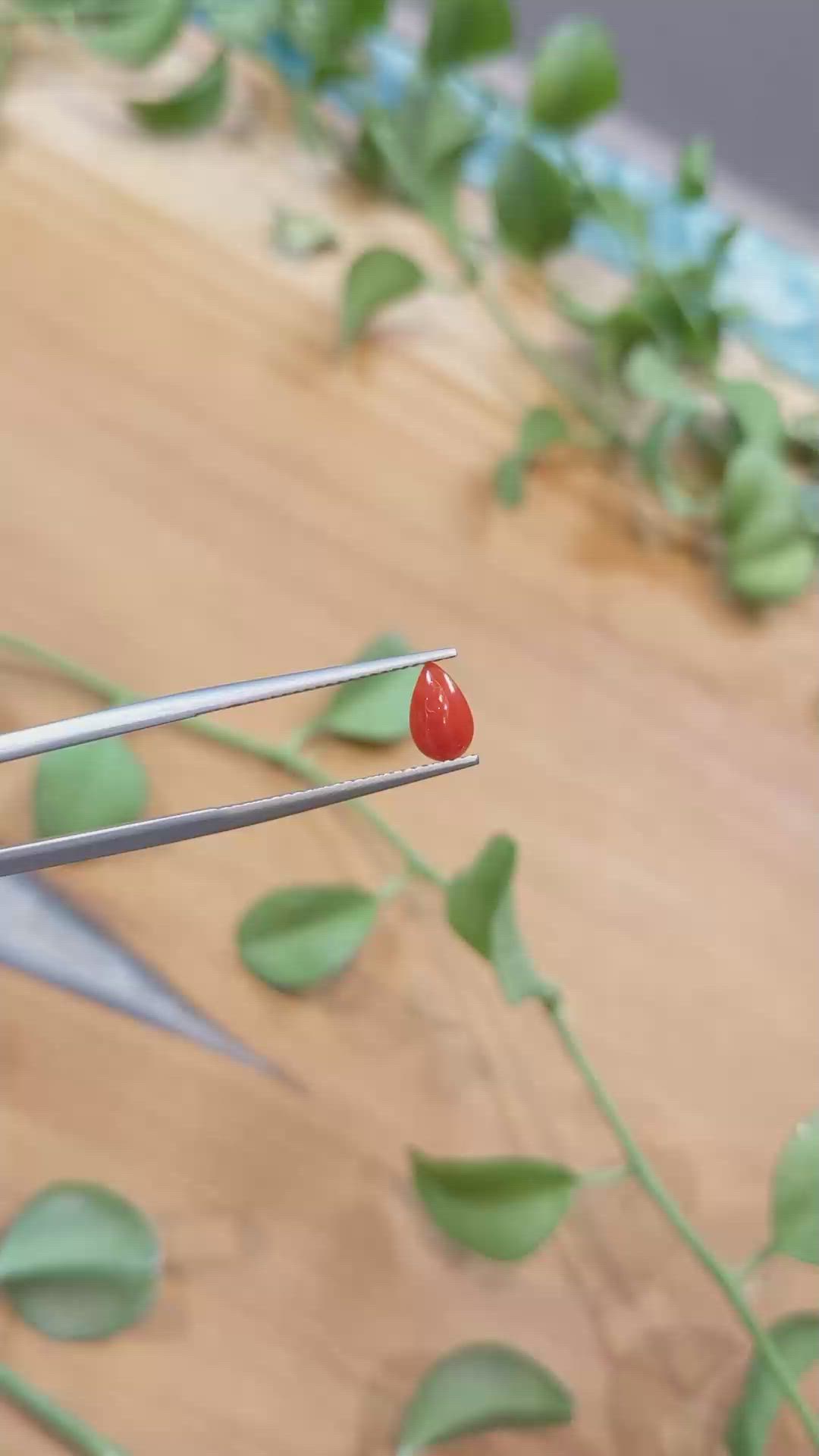 0.45 Ct. Cabochon Coral from Italy Size Video