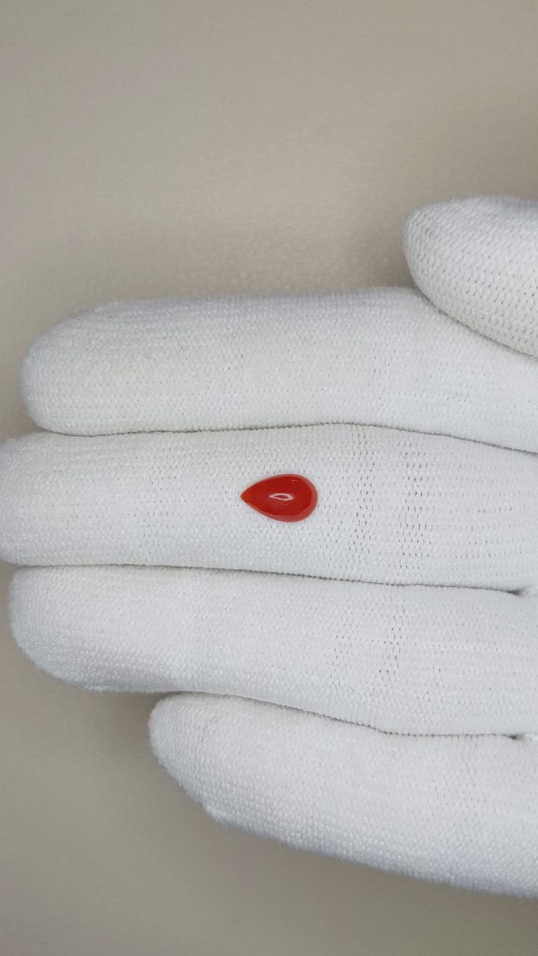 0.45 Ct. Cabochon Coral from Italy Size Video