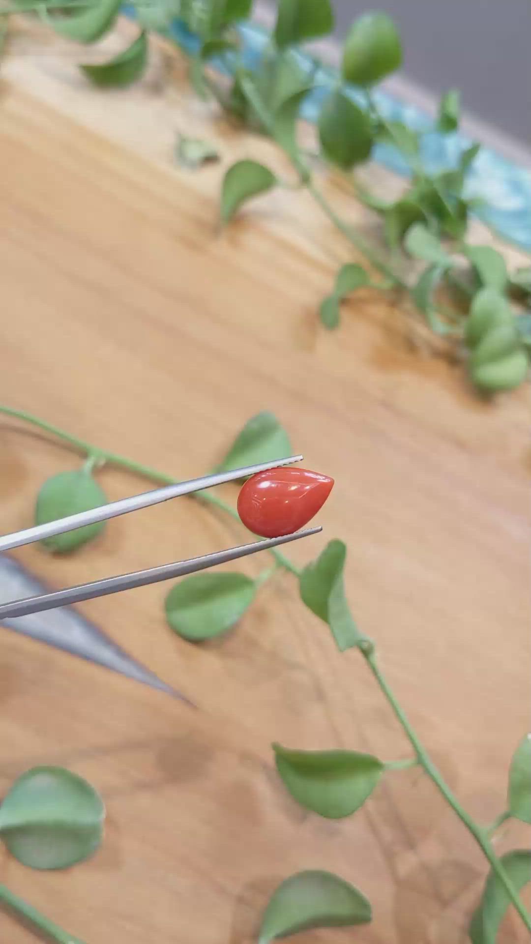 3.29 Ct. Cabochon Coral from Italy Size Video