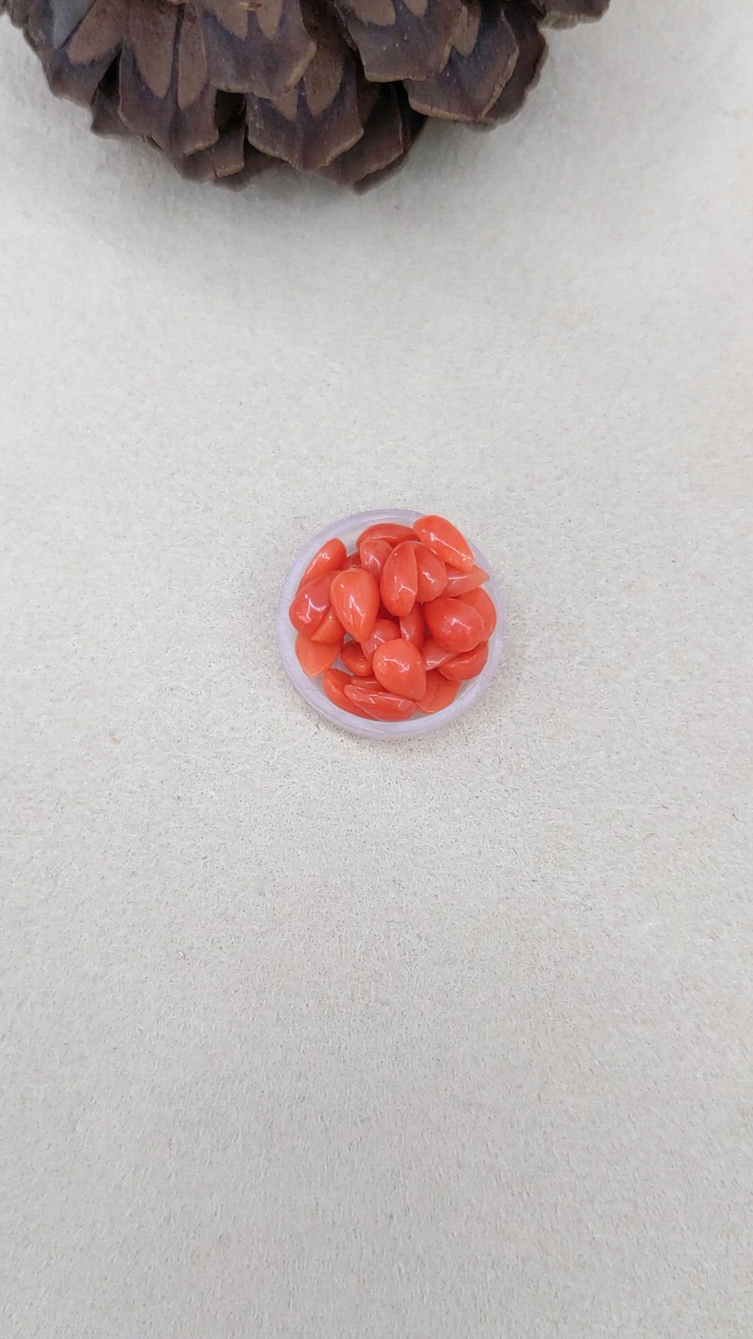114.21 Ct. Cabochon Coral from Italy Size Video
