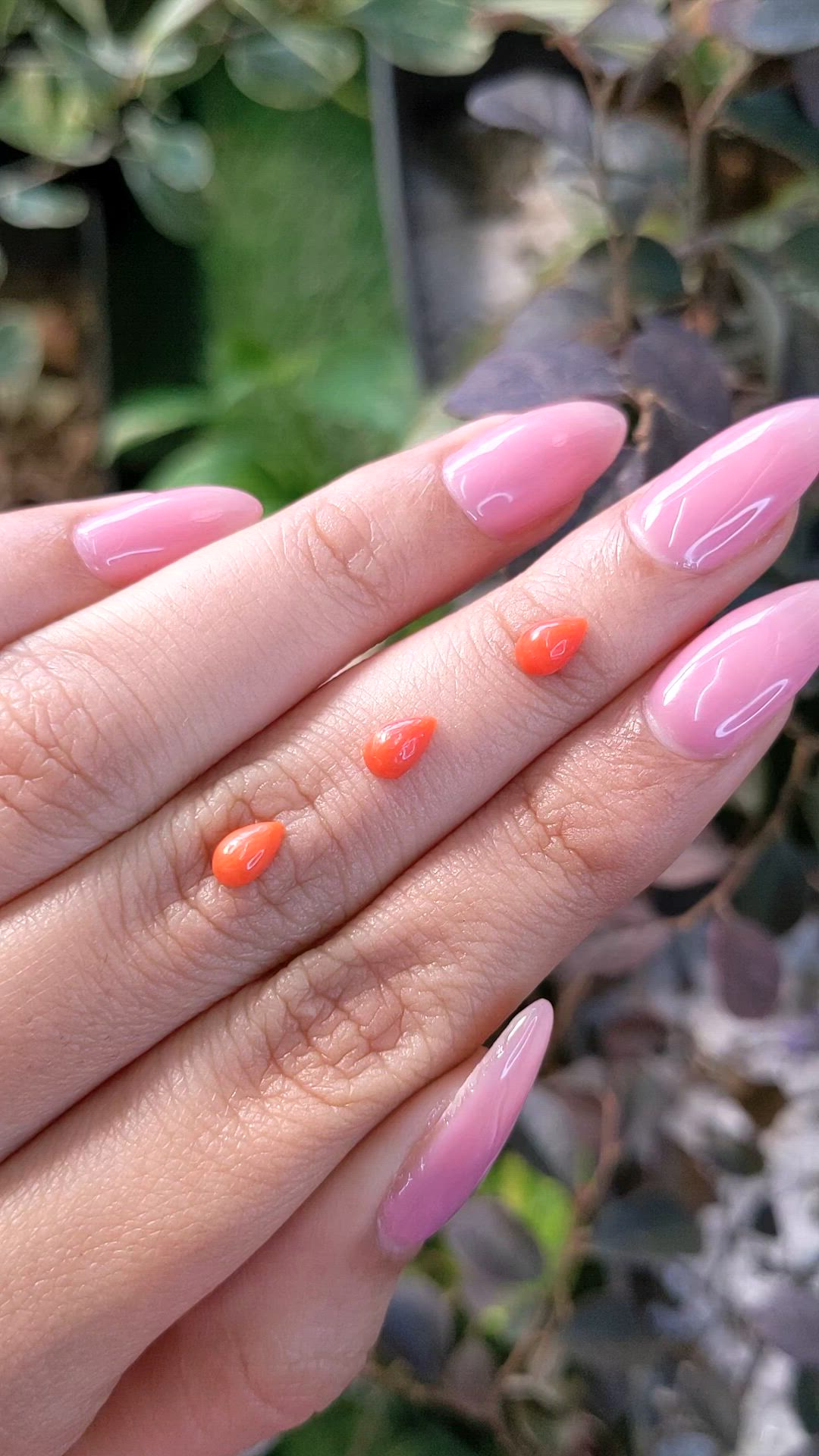 114.21 Ct. Cabochon Coral from Italy Size Video