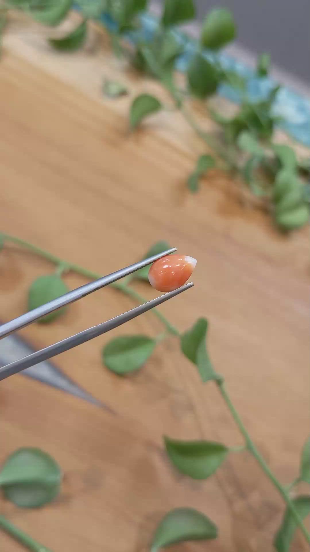 1.41 Ct. Cabochon Coral from Italy Size Video