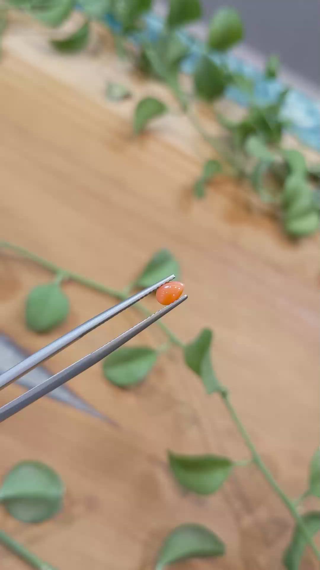 0.25 Ct. Cabochon Coral from Italy Size Video