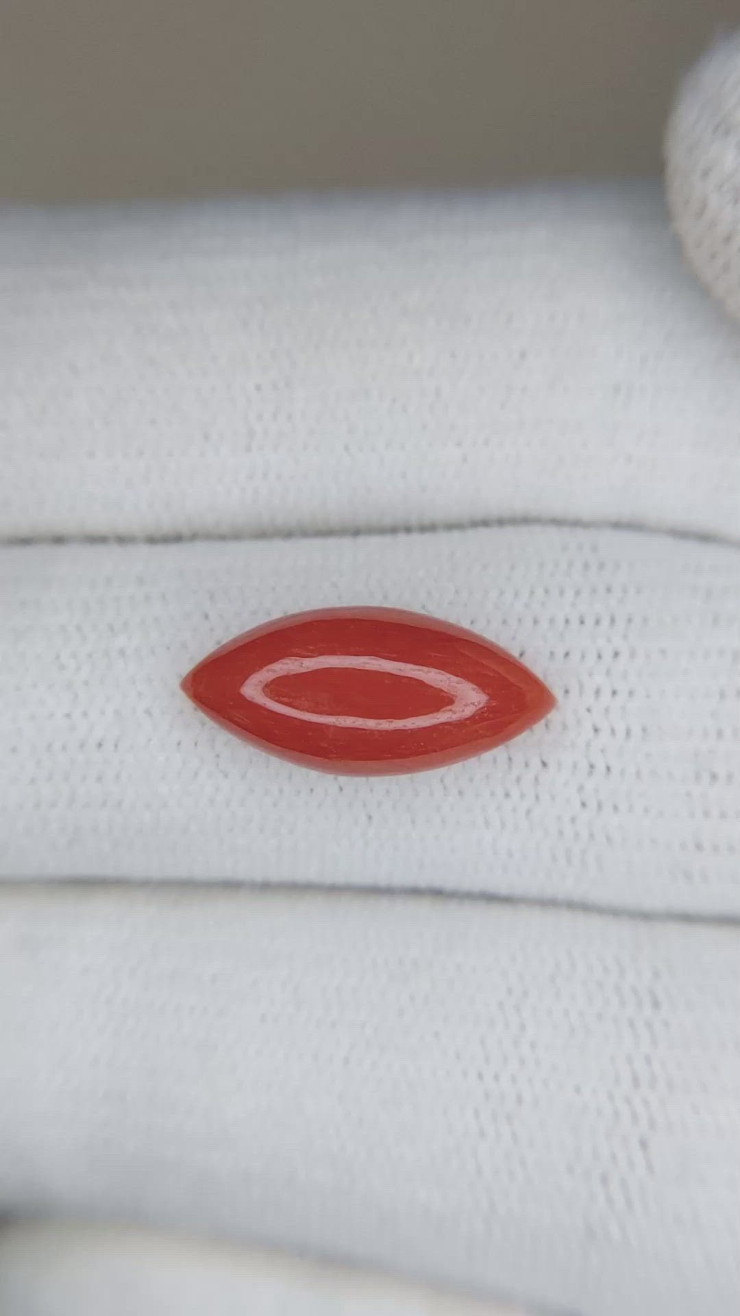 3.08 Ct. Cabochon Coral from Italy Size Video