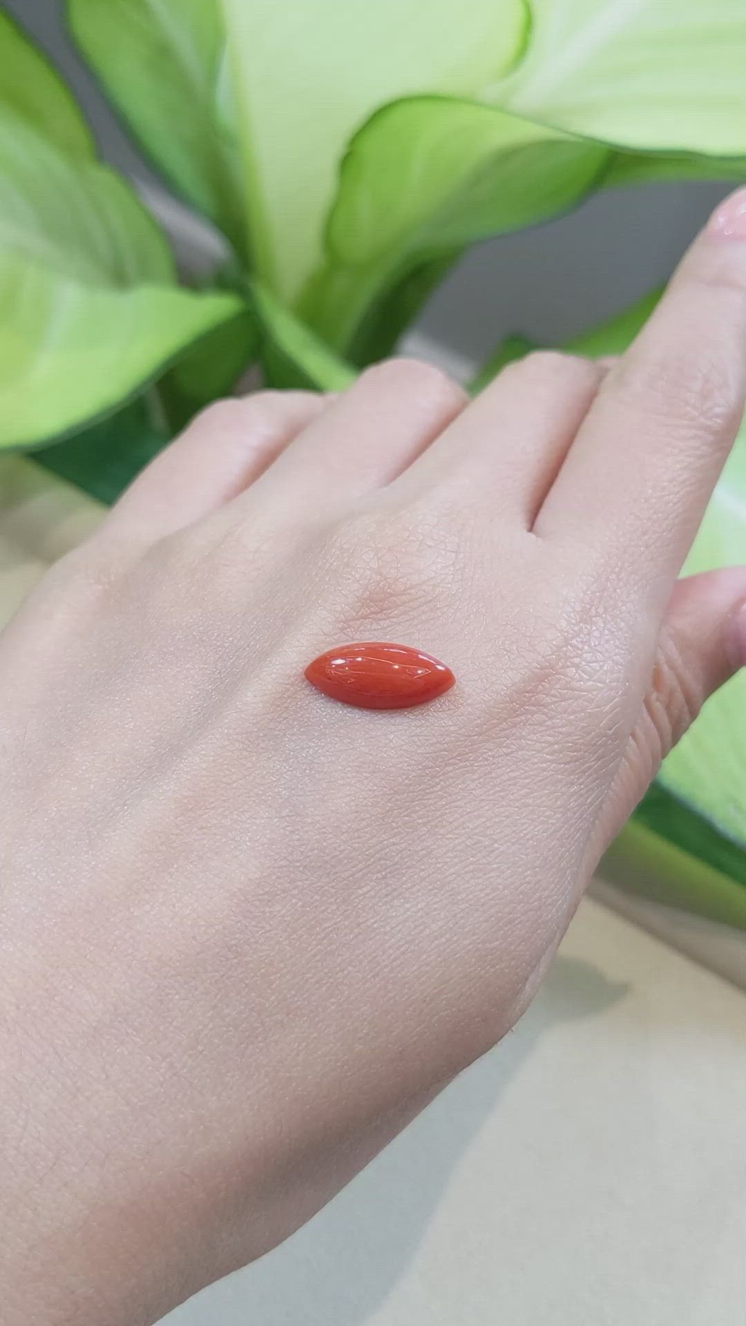 3.08 Ct. Cabochon Coral from Italy Size Video