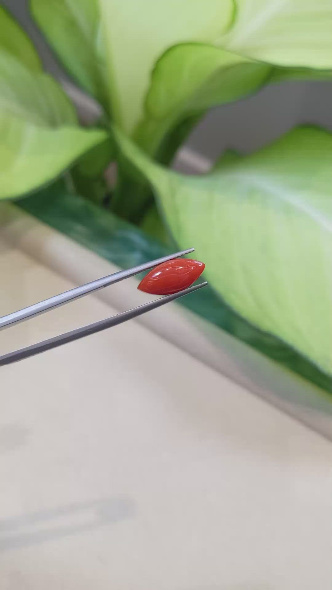 3.08 Ct. Cabochon Coral from Italy Size Video
