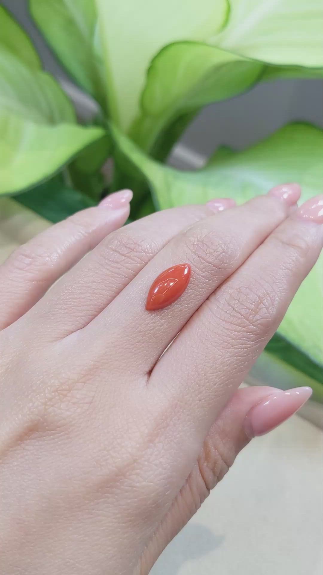 3.08 Ct. Cabochon Coral from Italy Size Video