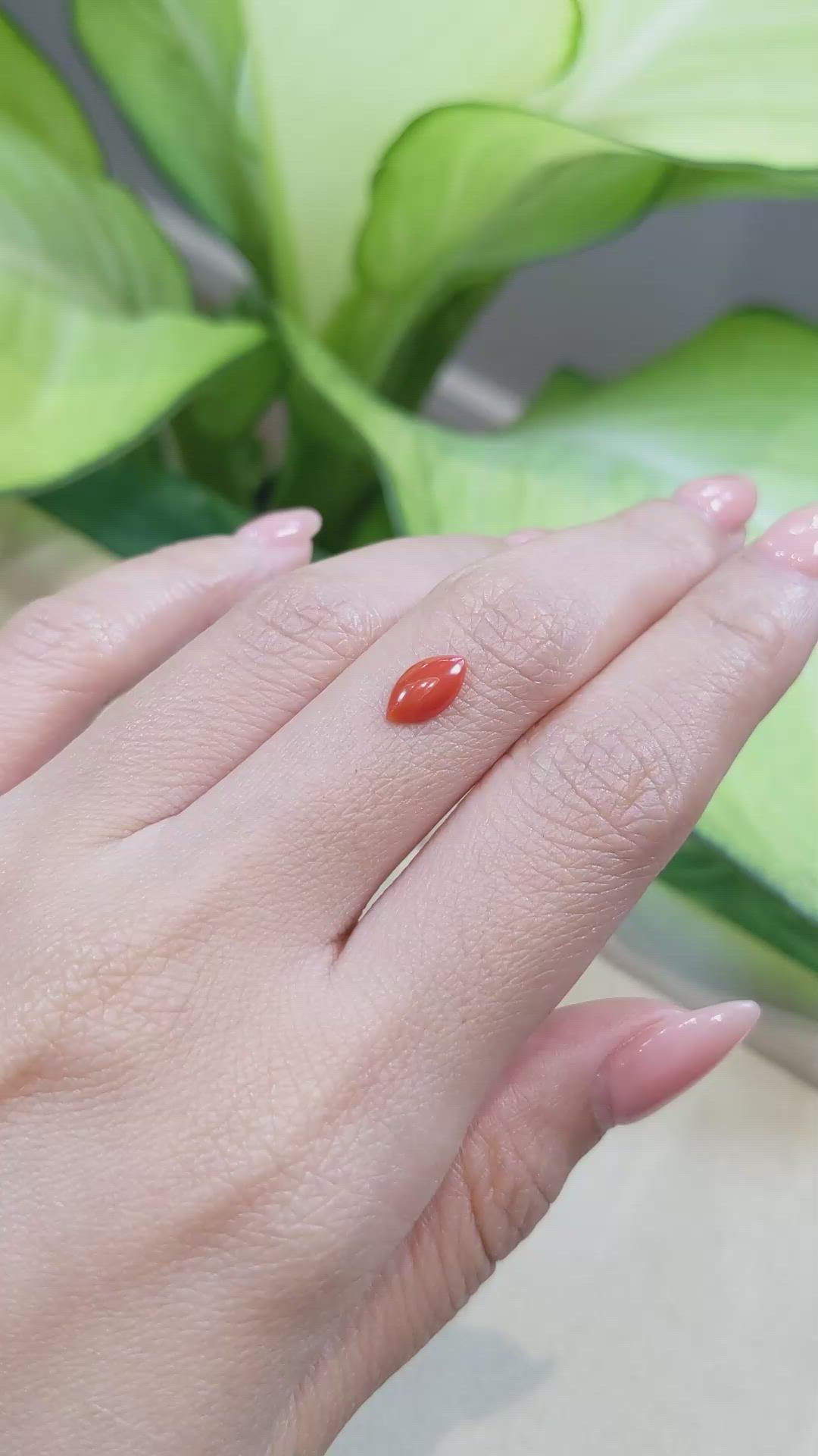 0.66 Ct. Cabochon Coral from Italy Size Video