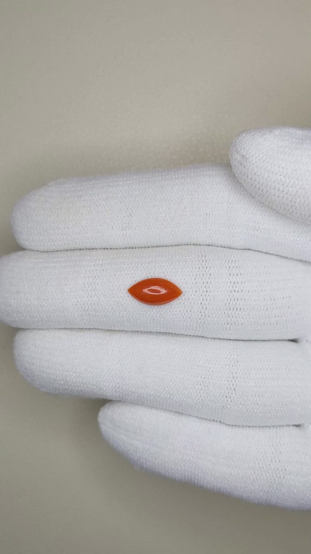 0.66 Ct. Cabochon Coral from Italy Size Video