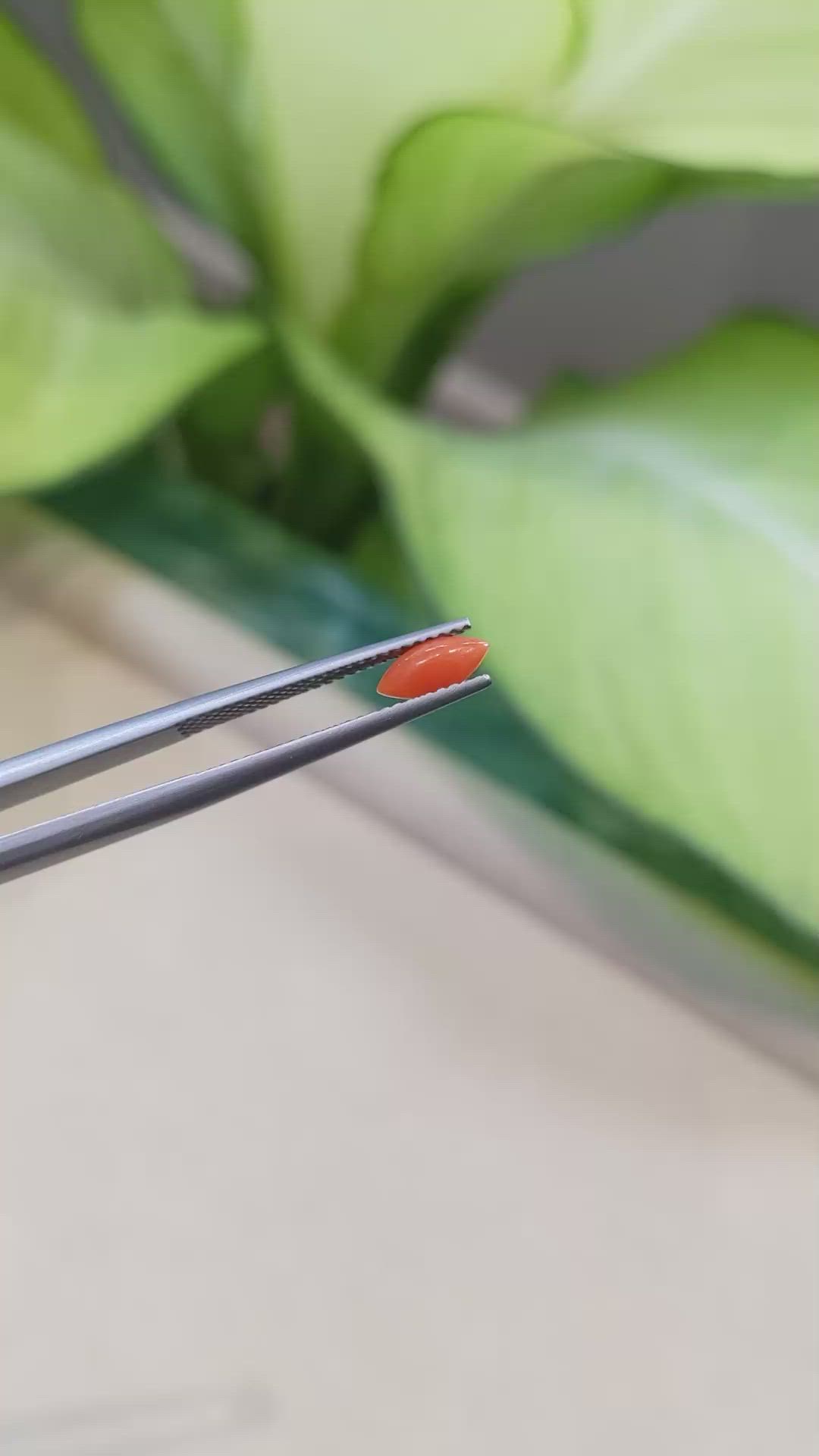 0.36 Ct. Cabochon Coral from Italy Size Video