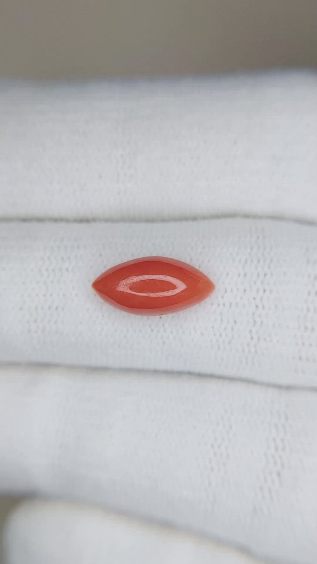 1.62 Ct. Cabochon Coral from Italy Size Video