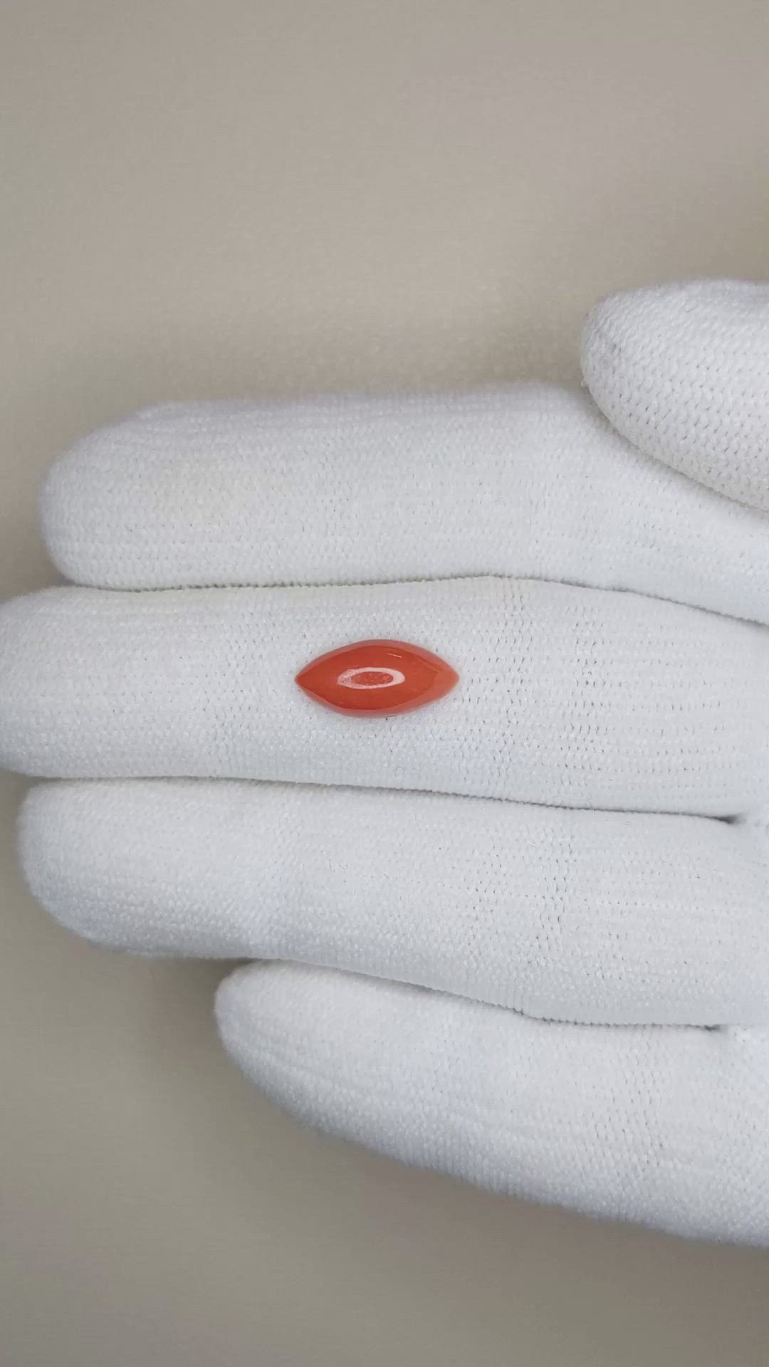 1.62 Ct. Cabochon Coral from Italy Size Video