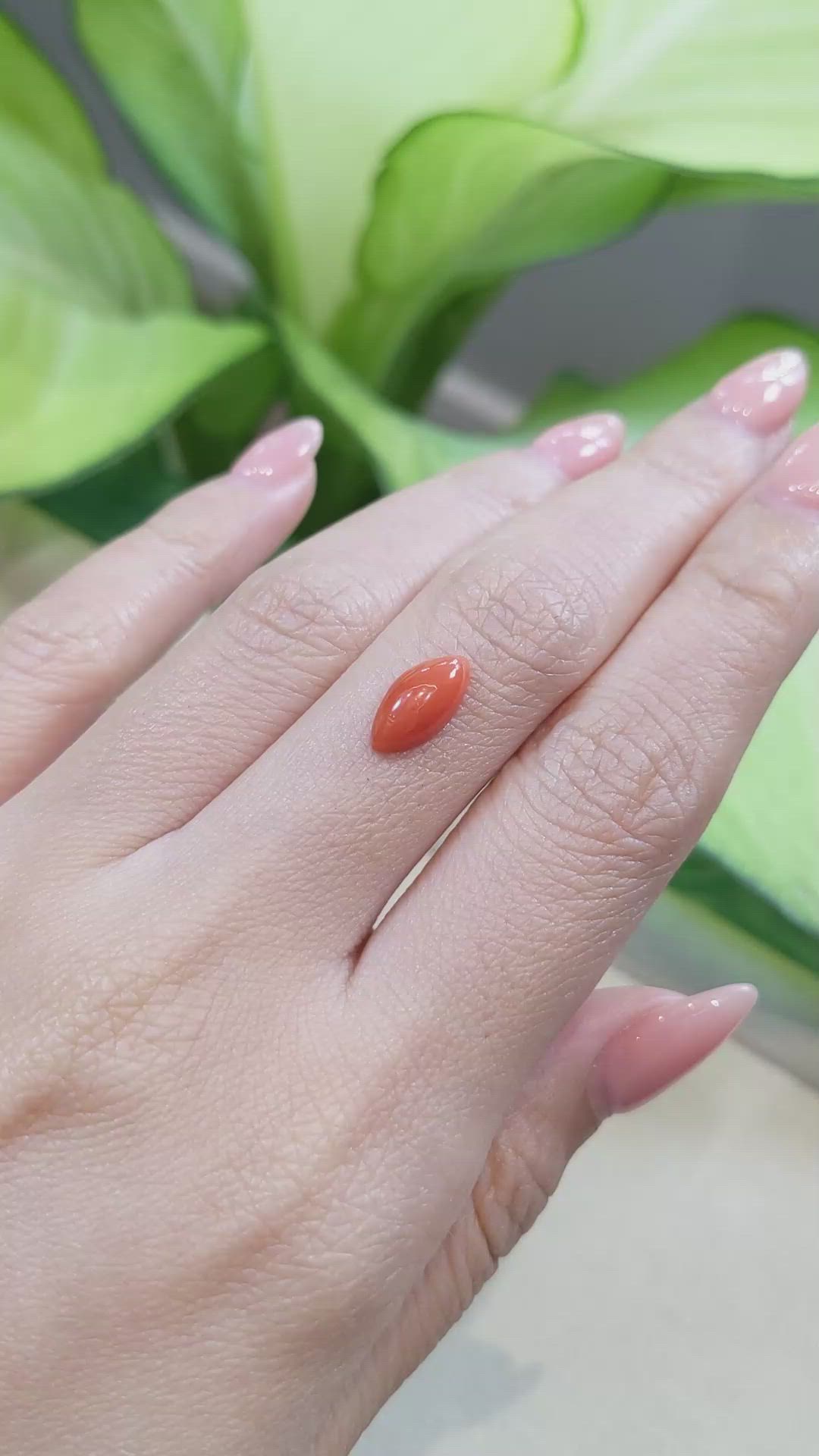 1.62 Ct. Cabochon Coral from Italy Size Video