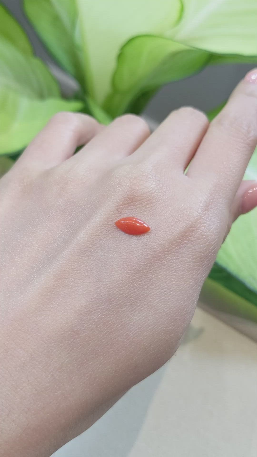 0.77 Ct. Cabochon Coral from Italy Size Video