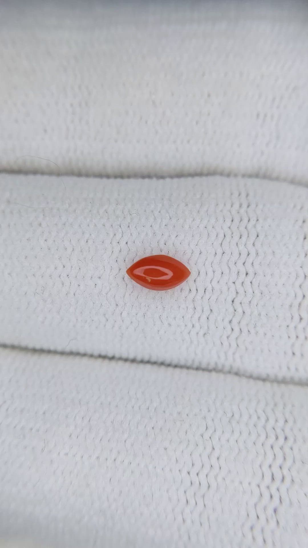 0.13 Ct. Cabochon Coral from Italy Size Video