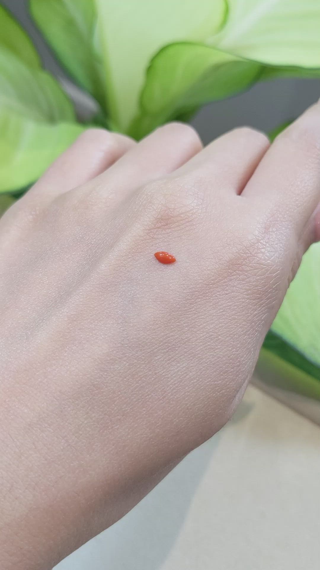 0.13 Ct. Cabochon Coral from Italy Size Video