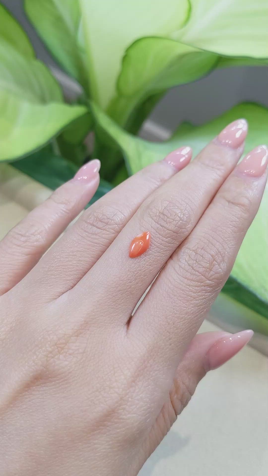 0.45 Ct. Cabochon Coral from Italy Size Video