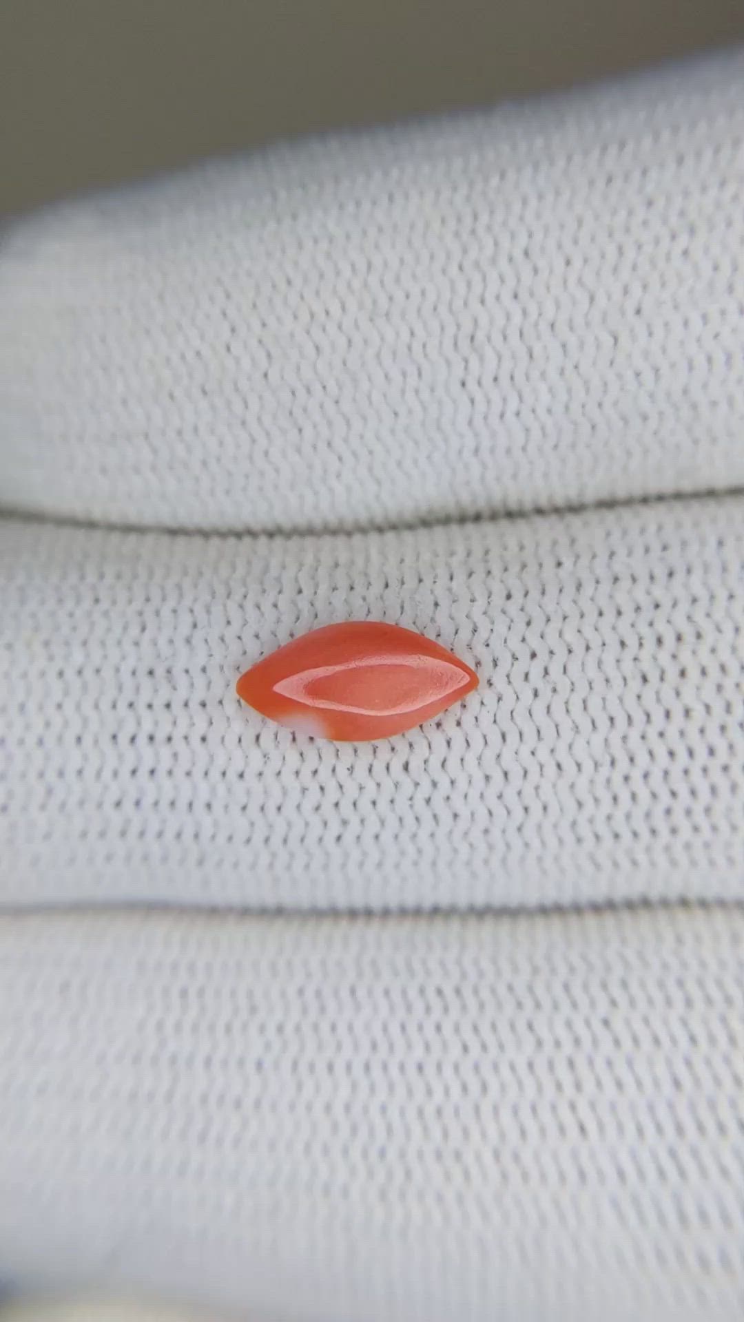 0.45 Ct. Cabochon Coral from Italy Size Video